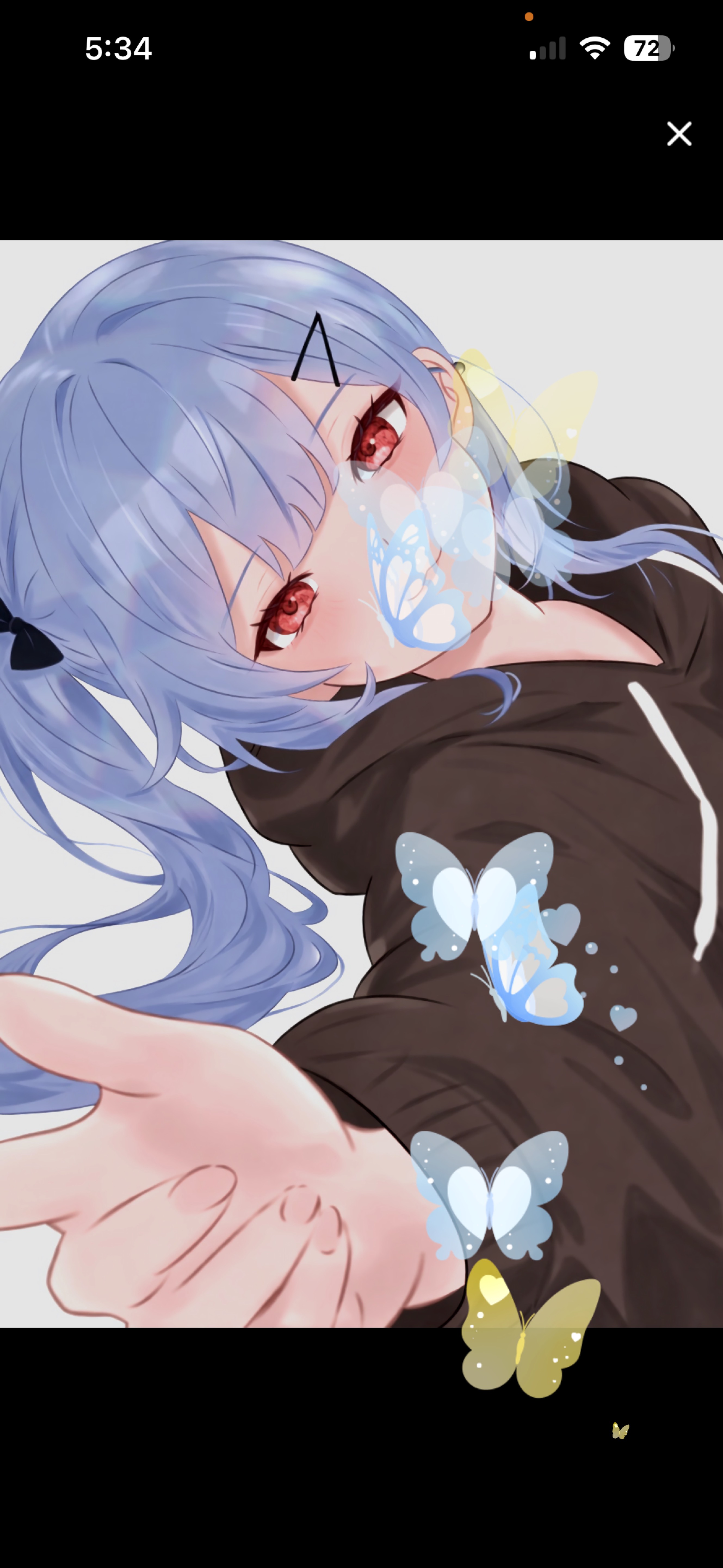 夜行性の初見さん探してます