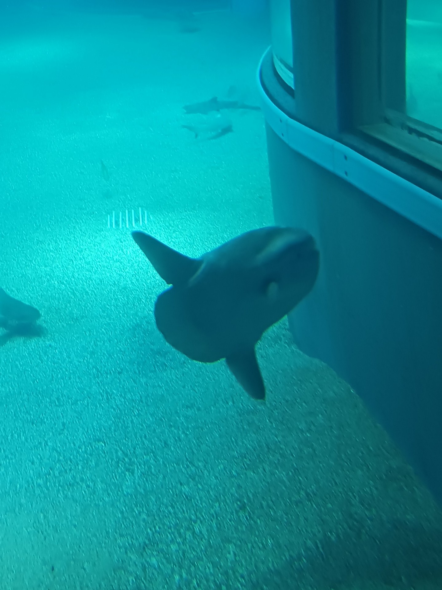 低音   色々してる