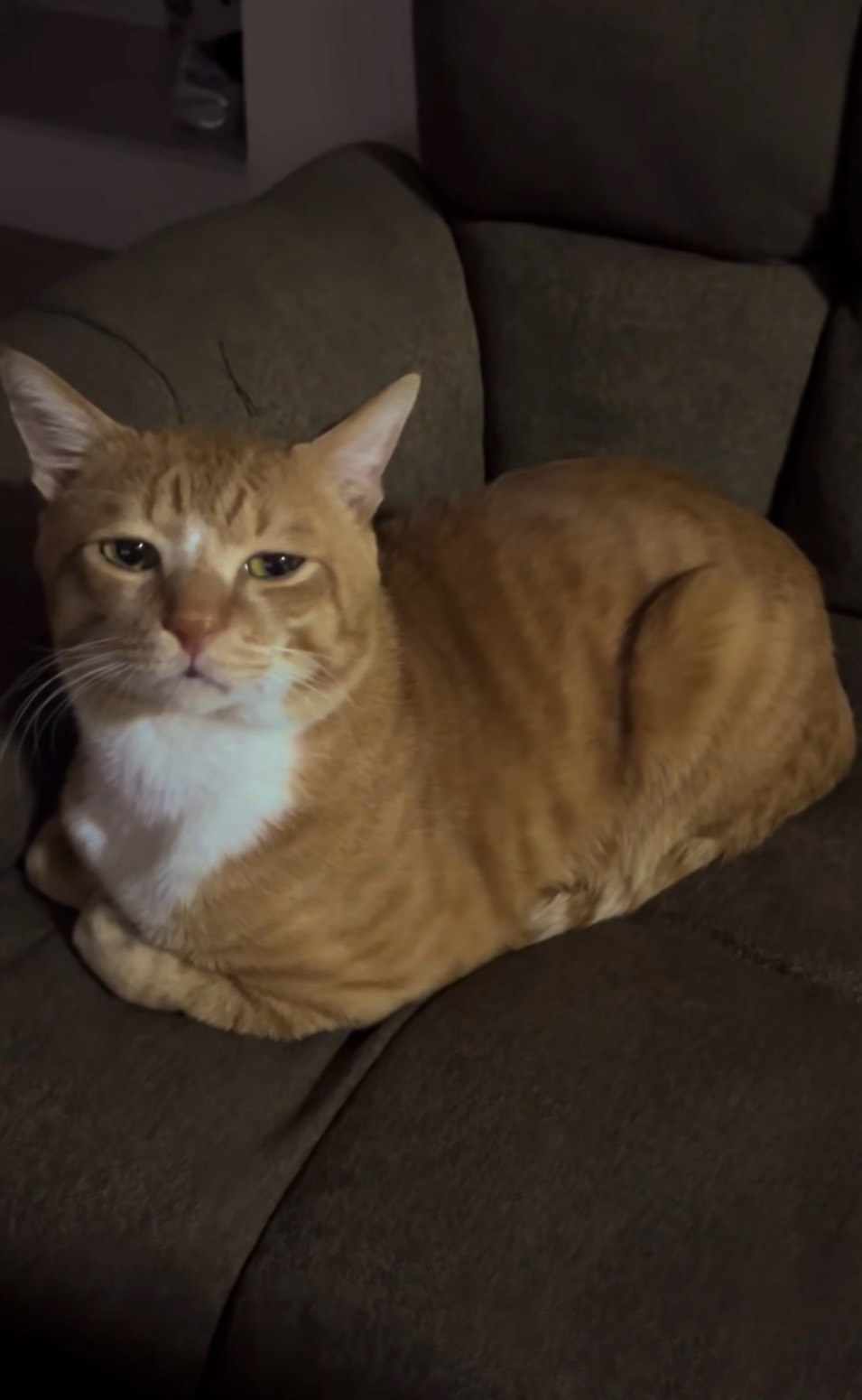 お仕事中故喋れませんが暇なので