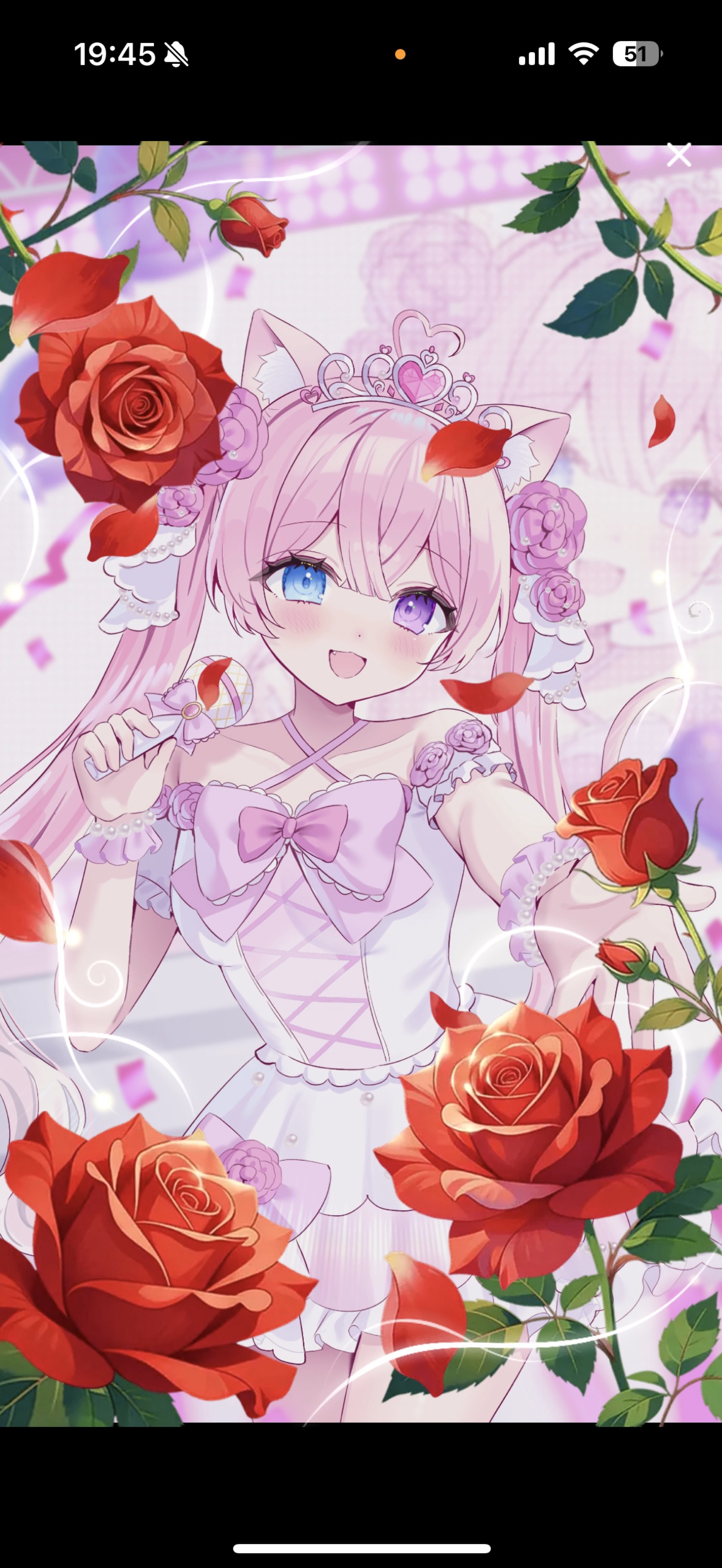 𝟐.𝟓周年記念𝐋𝐈𝐕𝐄🐱💖🎉