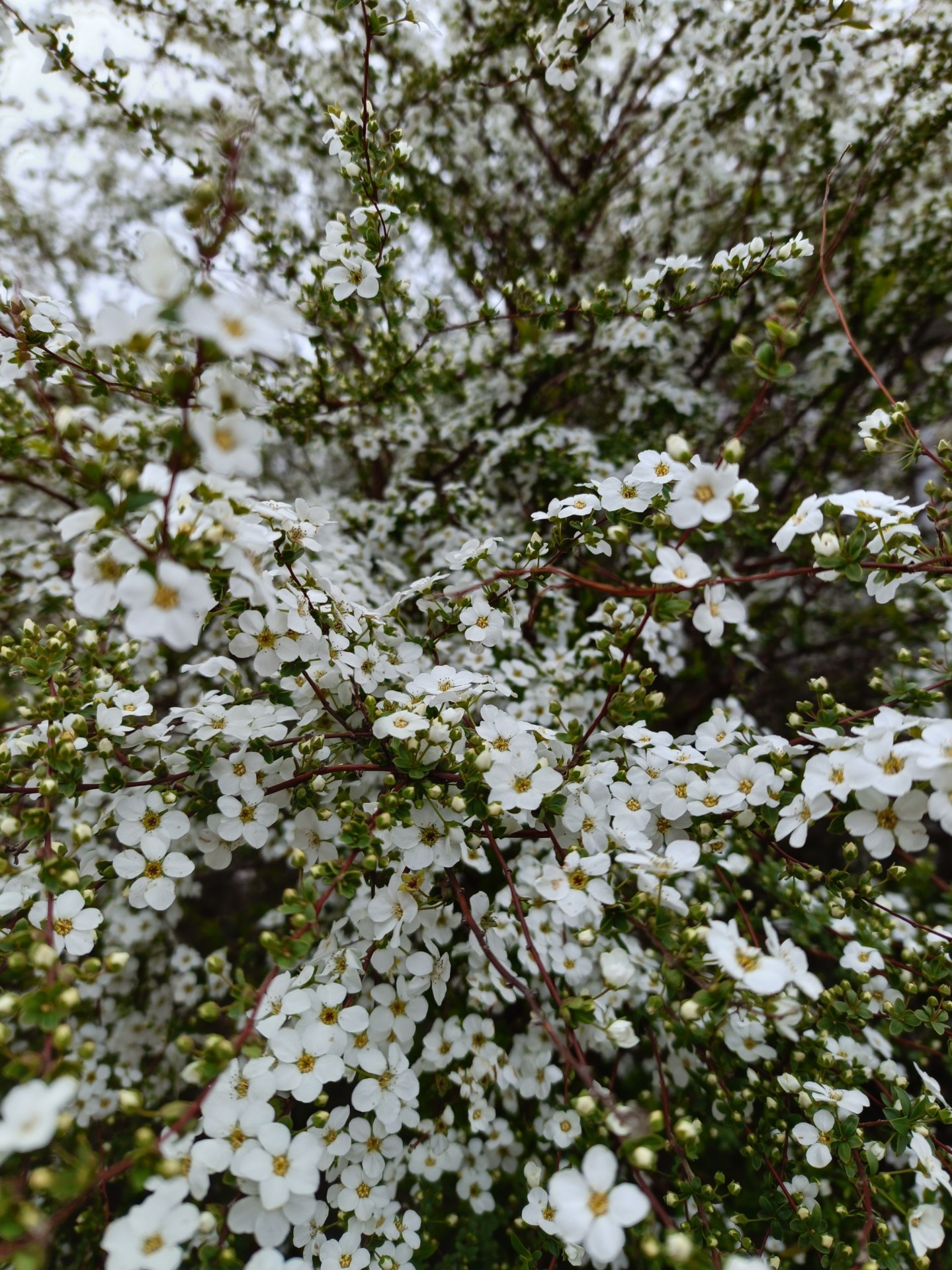 寝落ち枠📚どうぞゆったりと