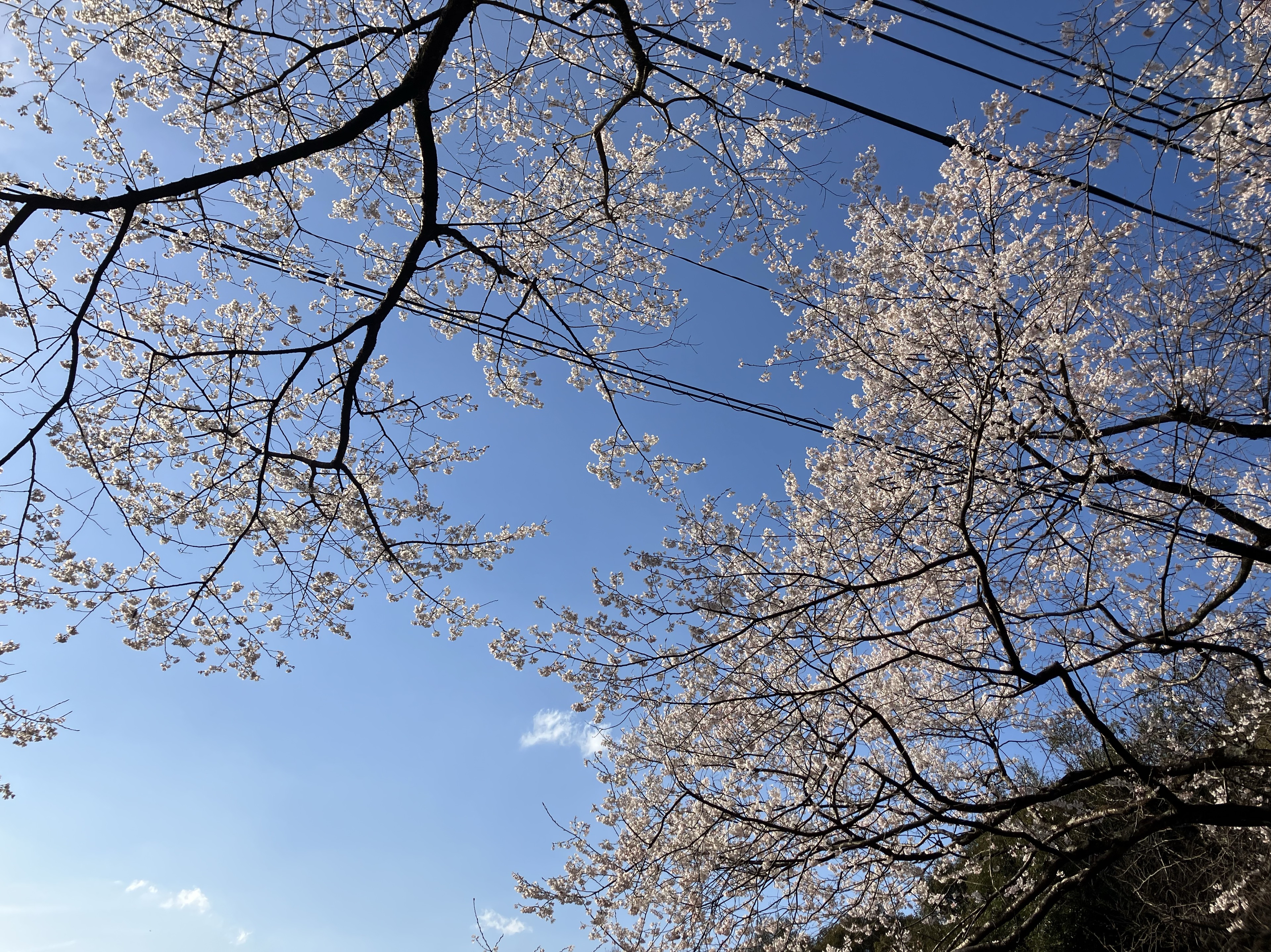 暇な方来ませんか？