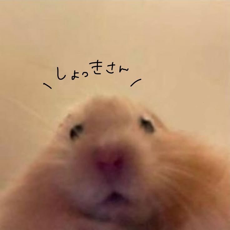 初潜寝〇 癖になる声かも💭