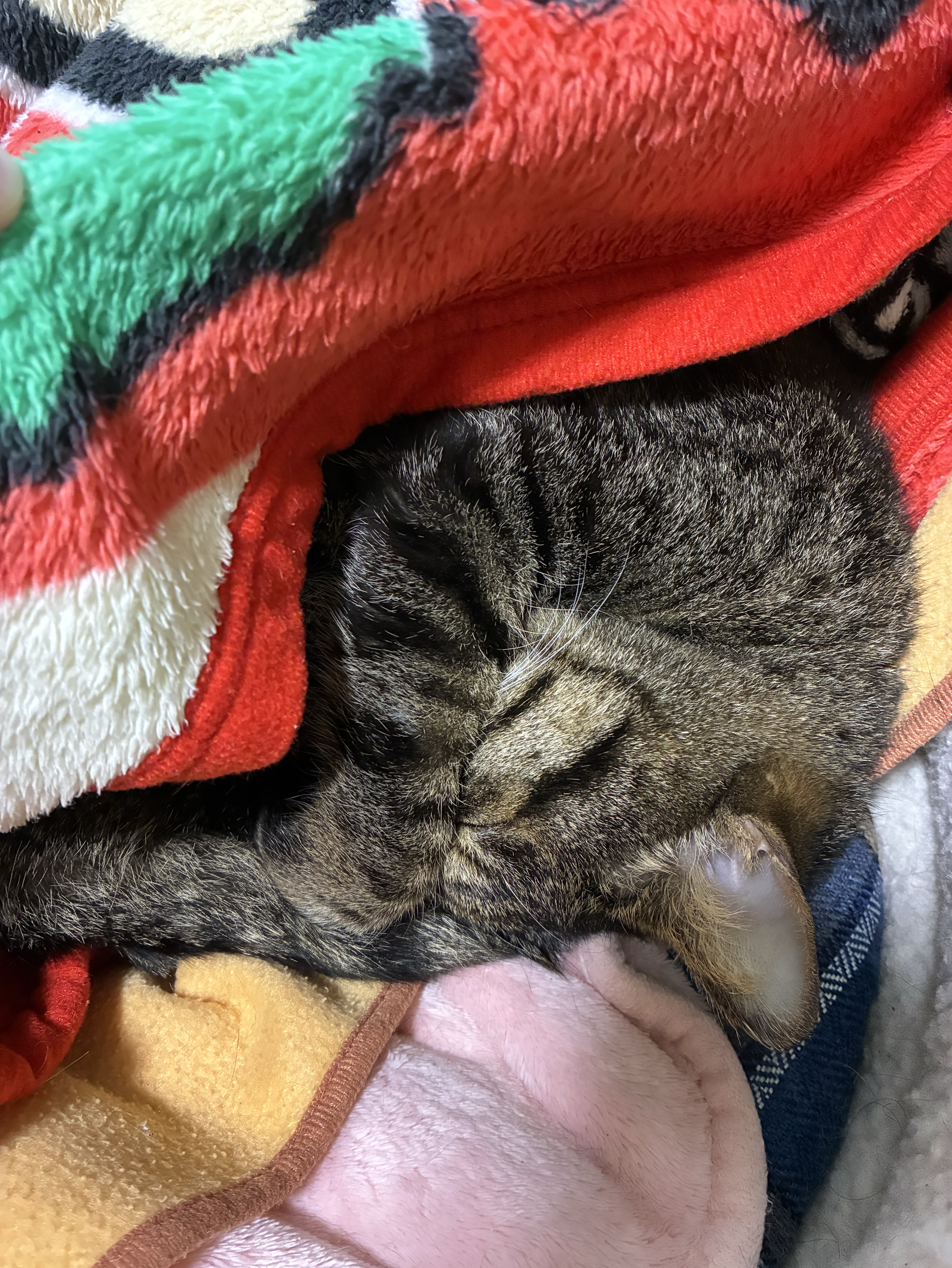 ちょーーーのんびり