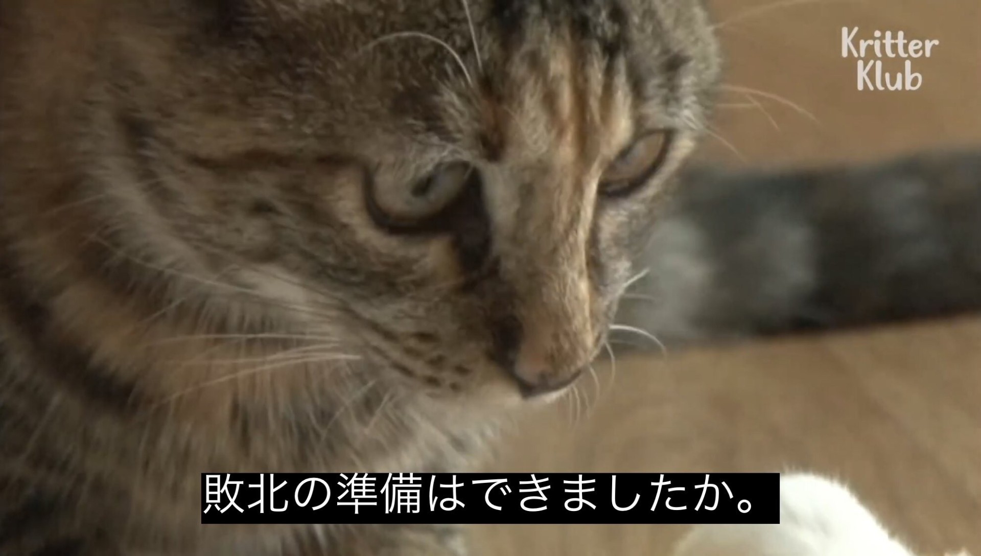 【BGM🈶】勉強するよ〜