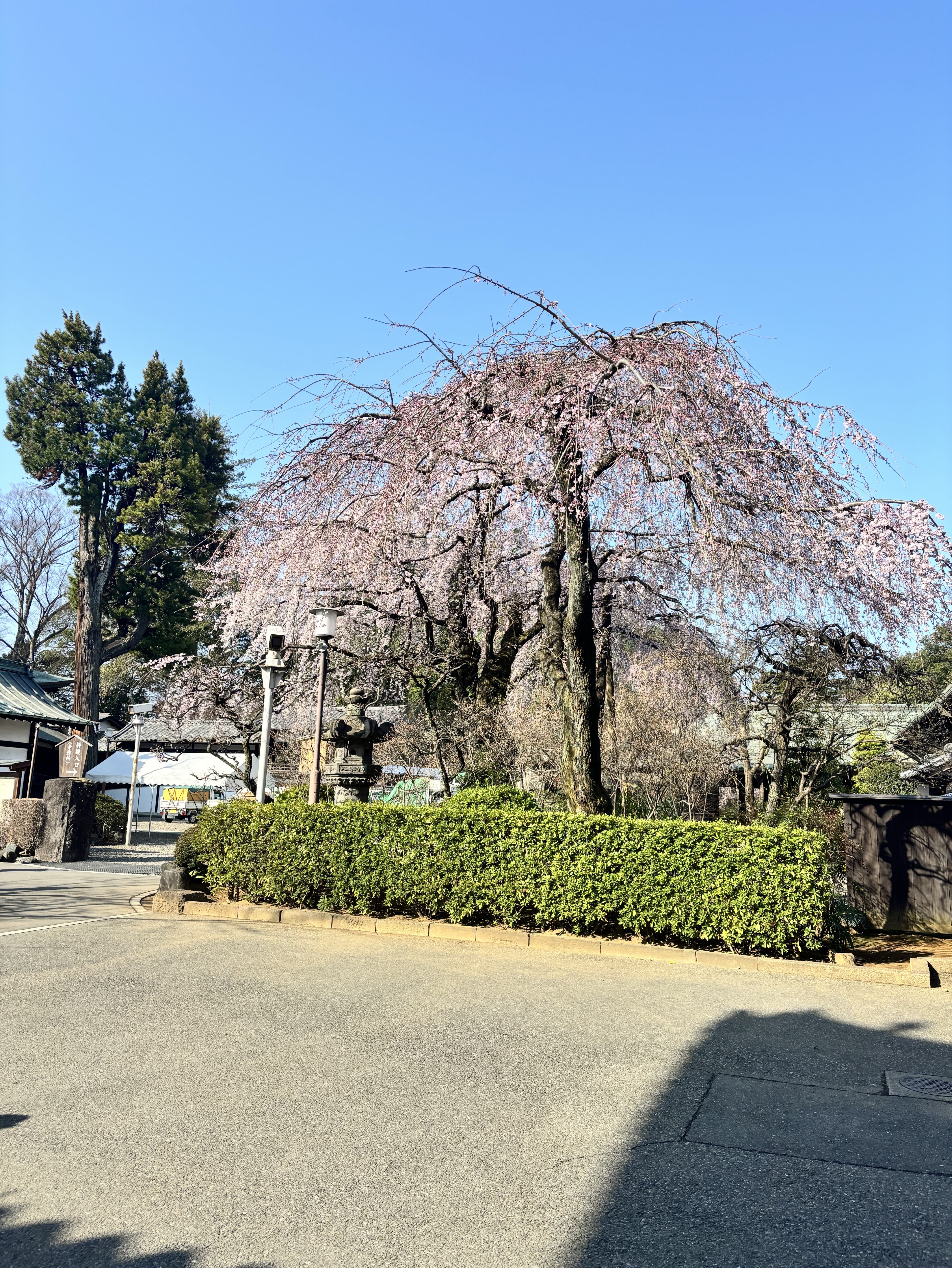 暇人´・д・｀)｡oO(暇)