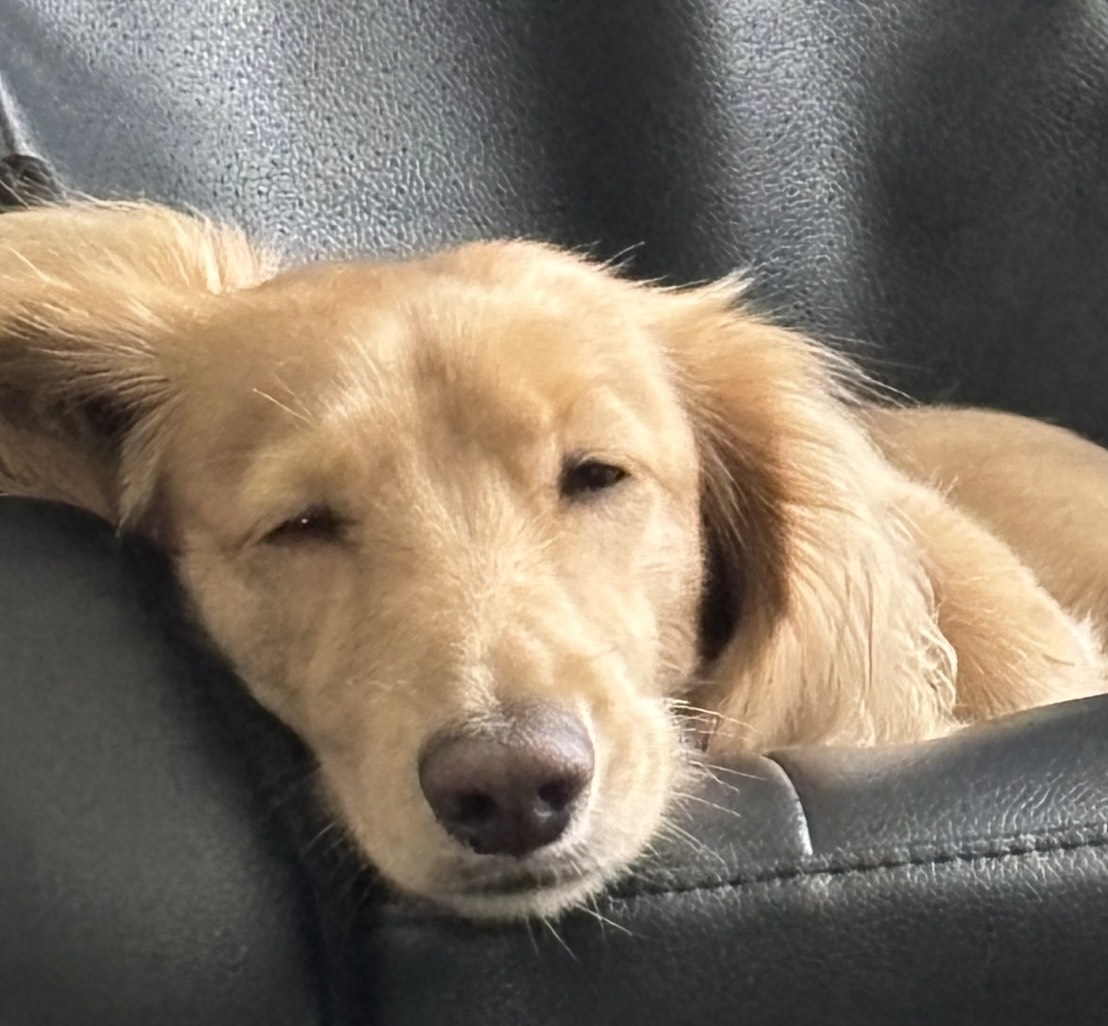 初見さん◎相談＆雑談🎶お話しよ🎶