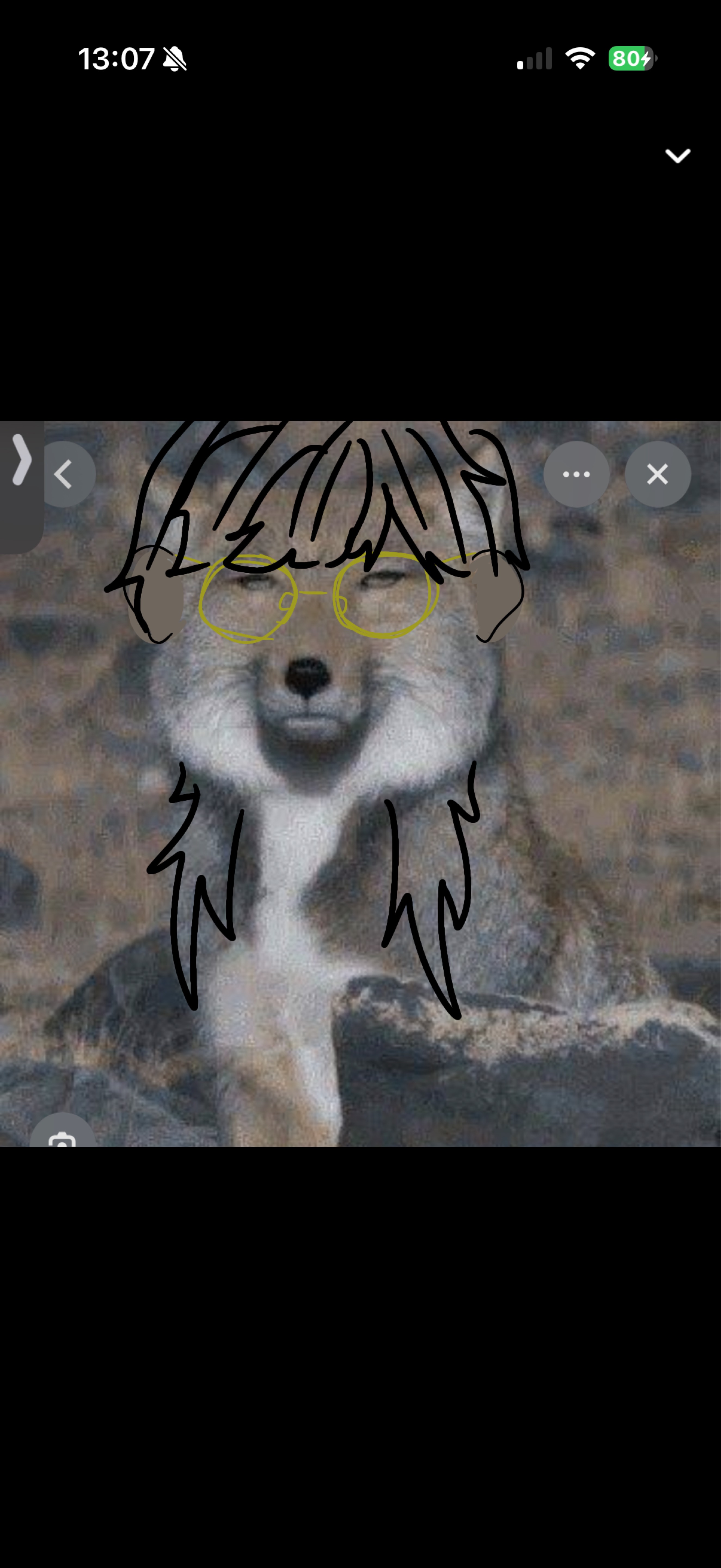 初潜○￤落ち着く枠