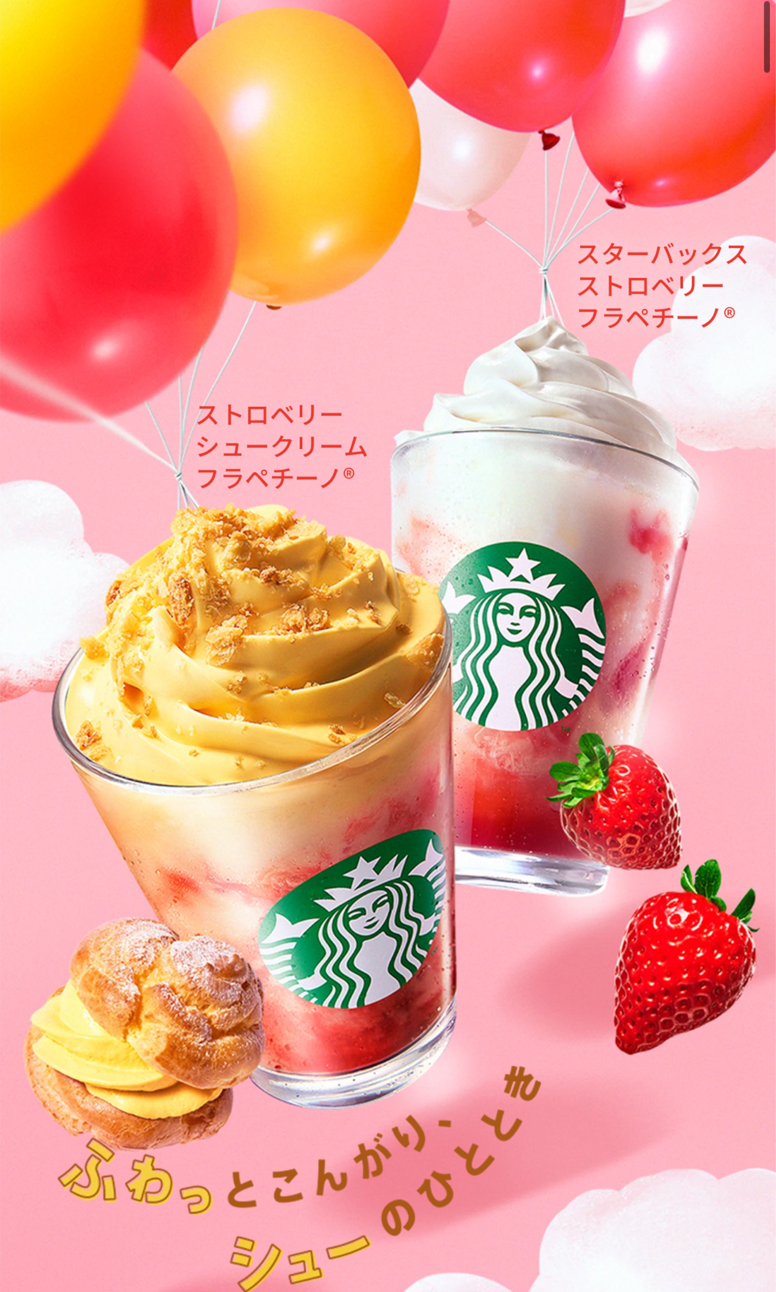 ゲリラのお昼枠\( •ω•´ )/🌸