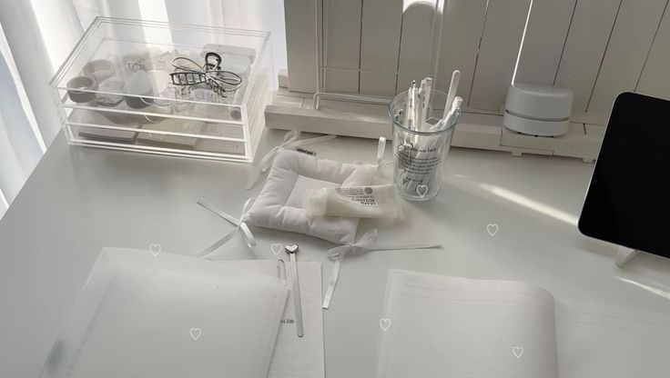 作業枠ほぼBGM（初見さん〇）