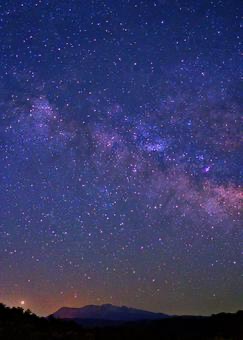 初見さんおいで。こんばんは。一緒に寝る？