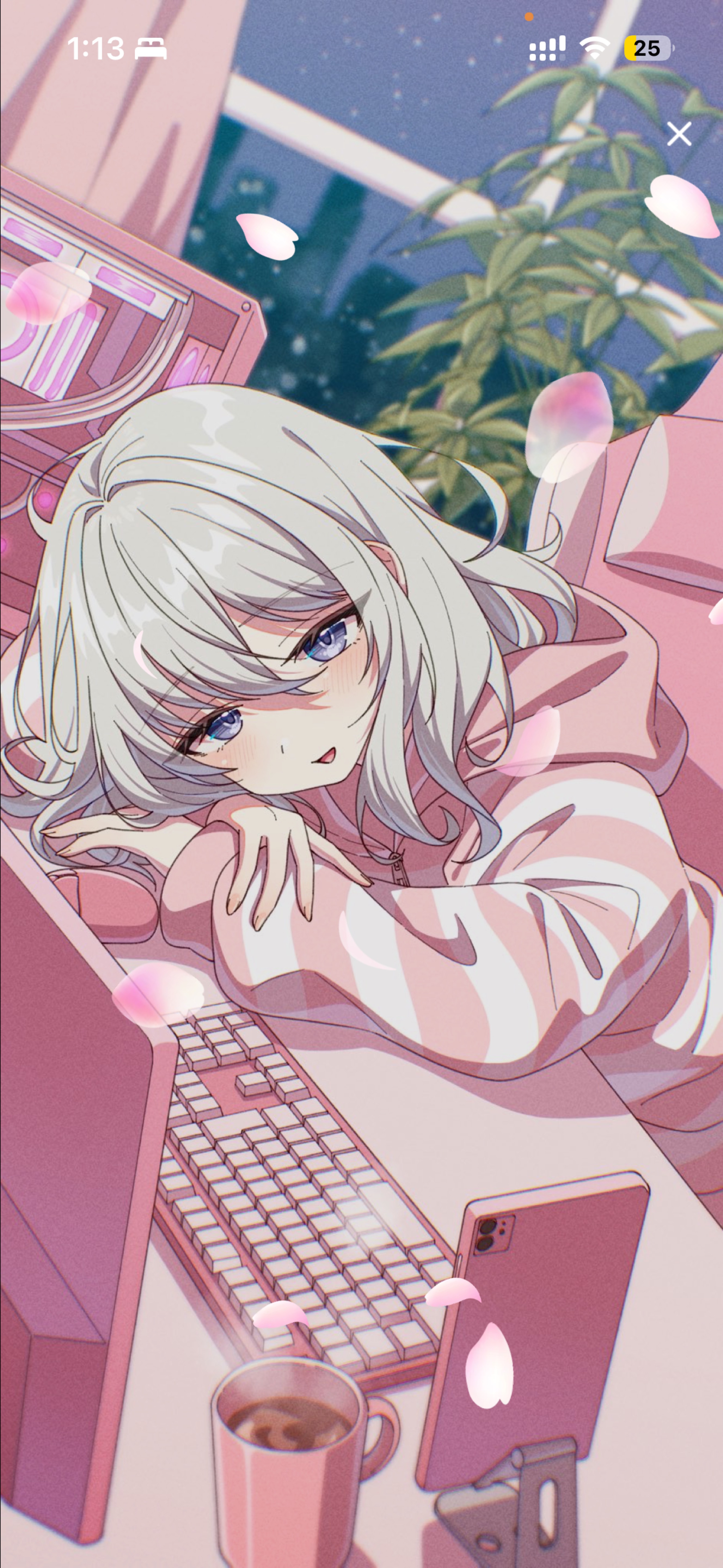 初◎ メ ロ い 関 西 弁 🎀 ᩚ