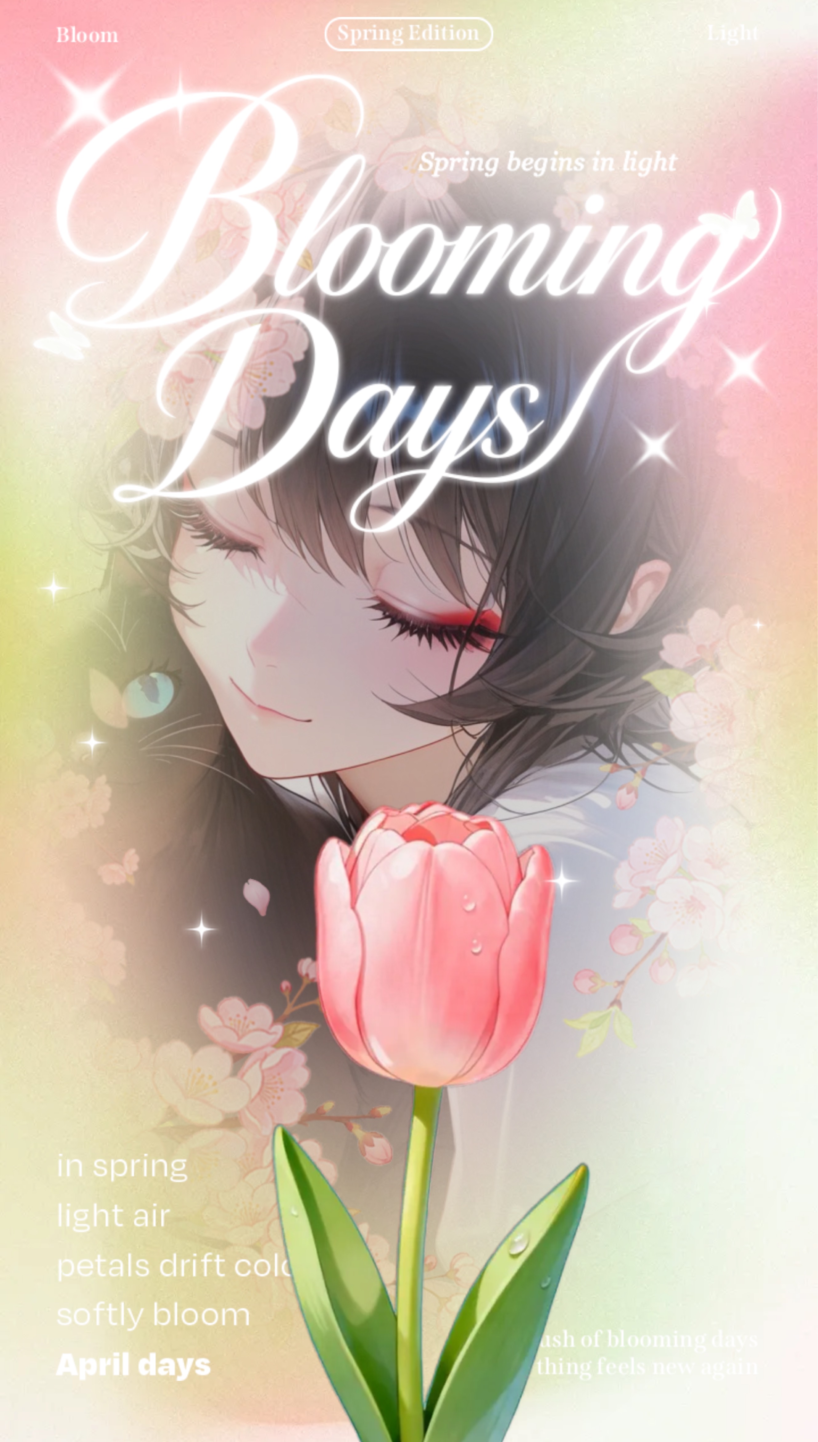 低音お姉さんの夜枠