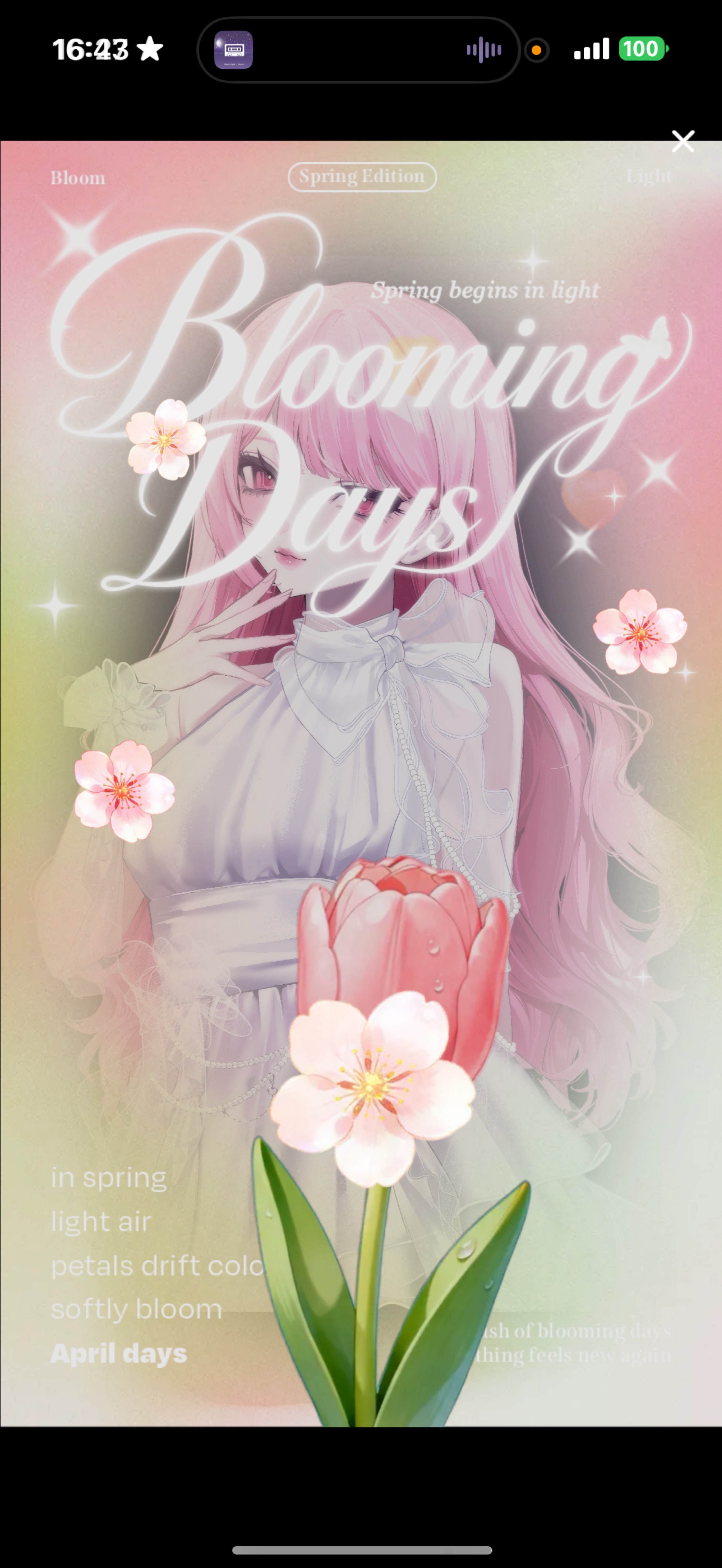 ~18:30⌇💠雑談💠