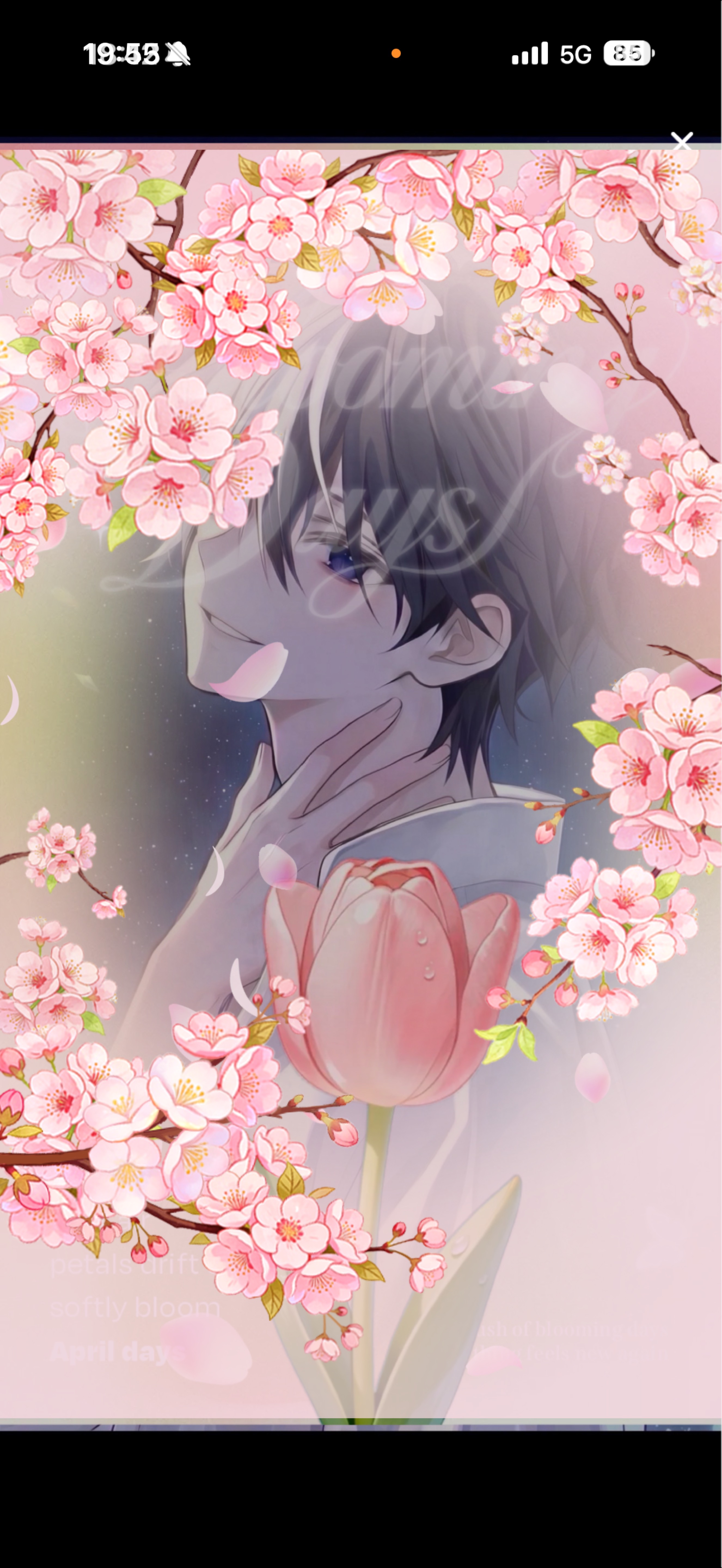 怖くないよおいでおいで！