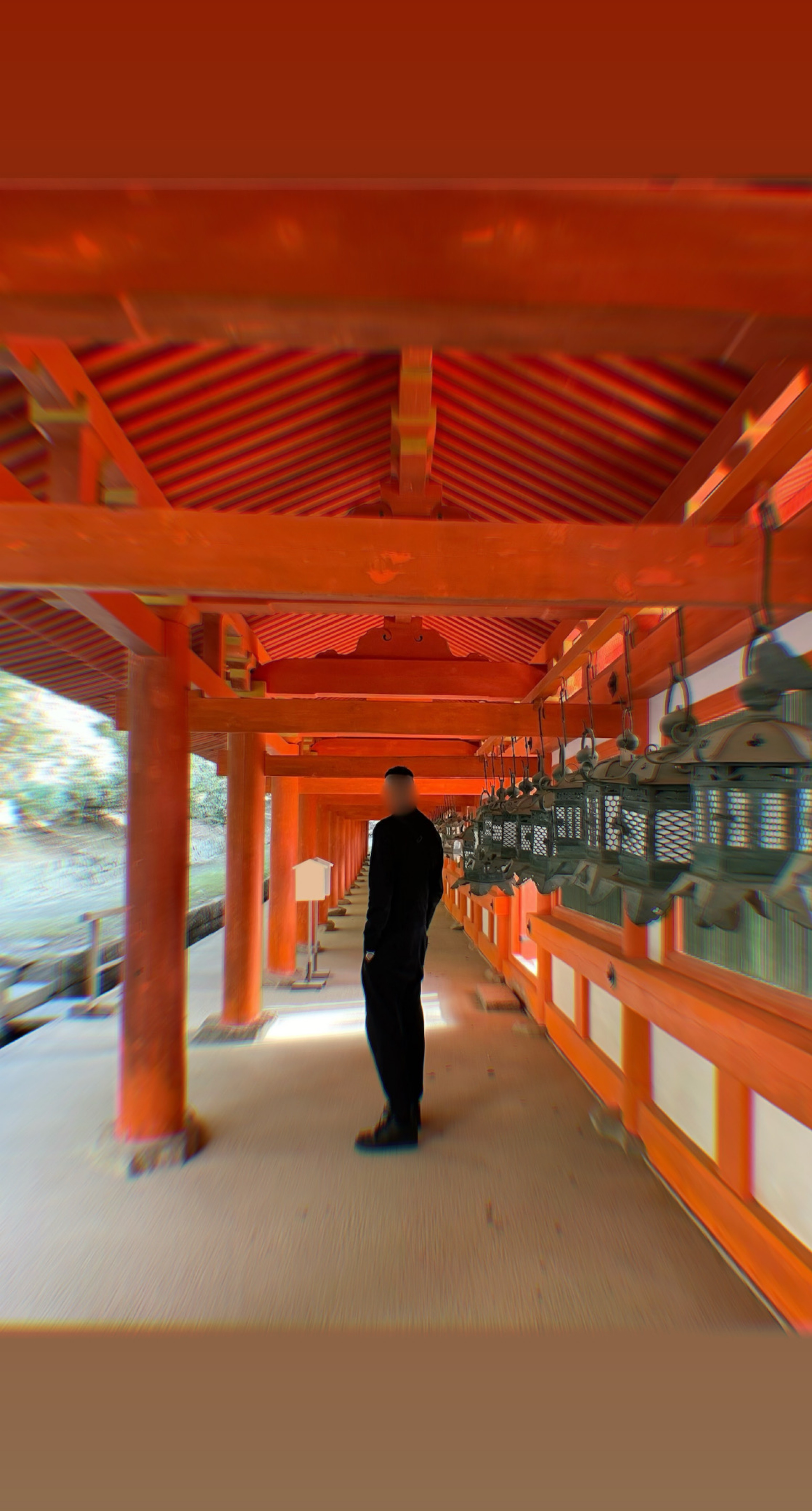 ご新規ください