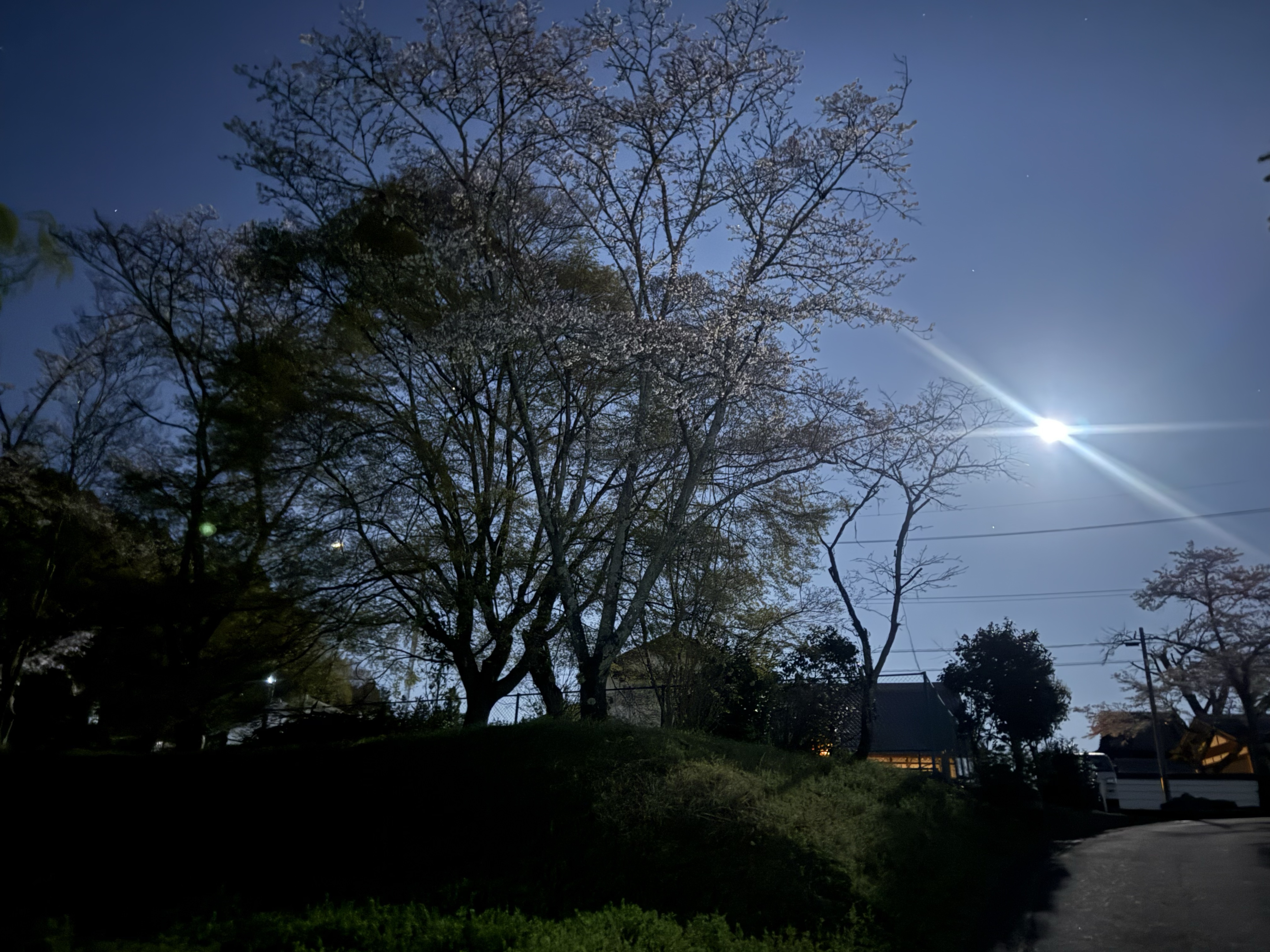 初見さんいらっしゃい
