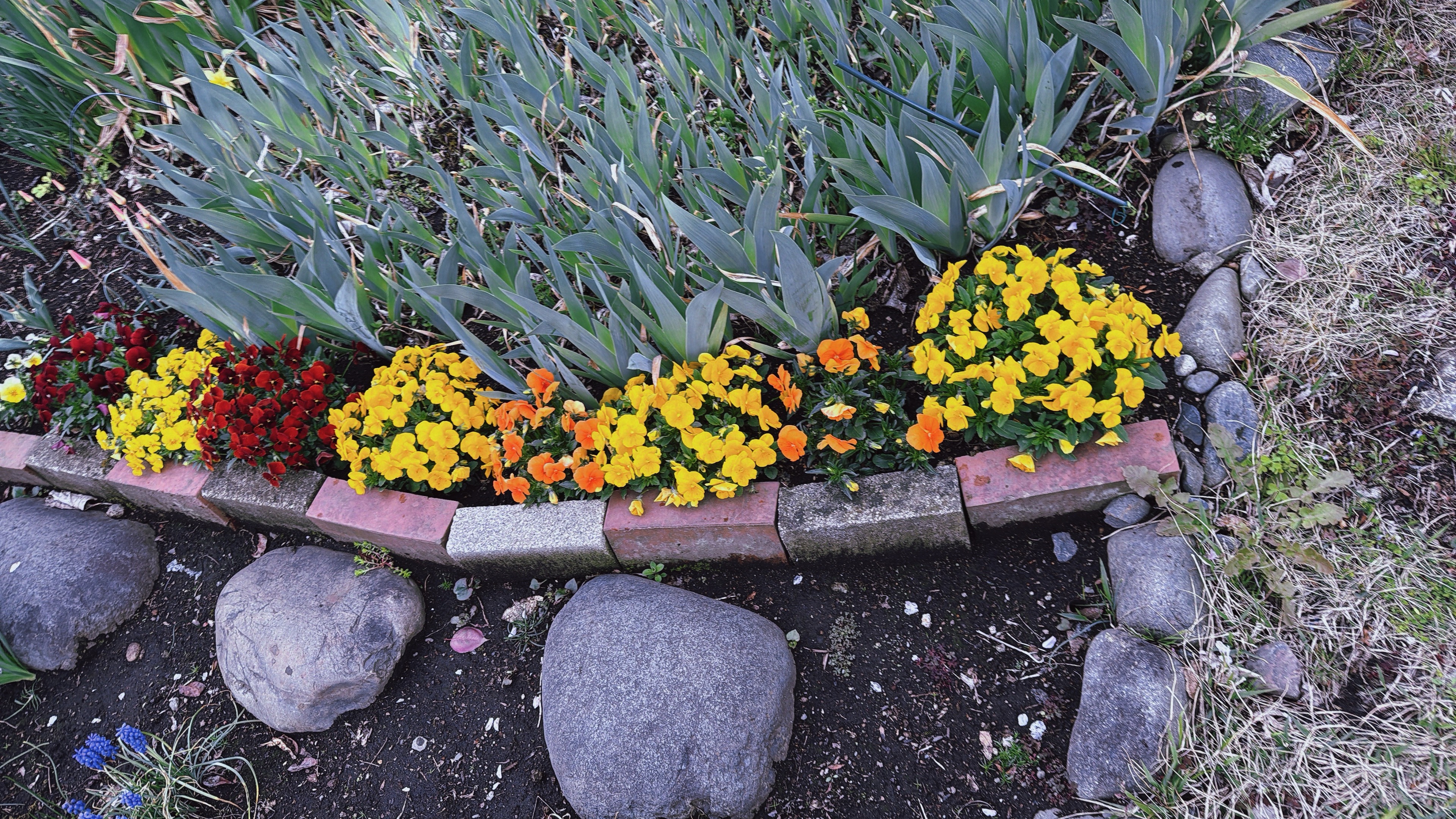 Welcome Spoonど真ん中♡