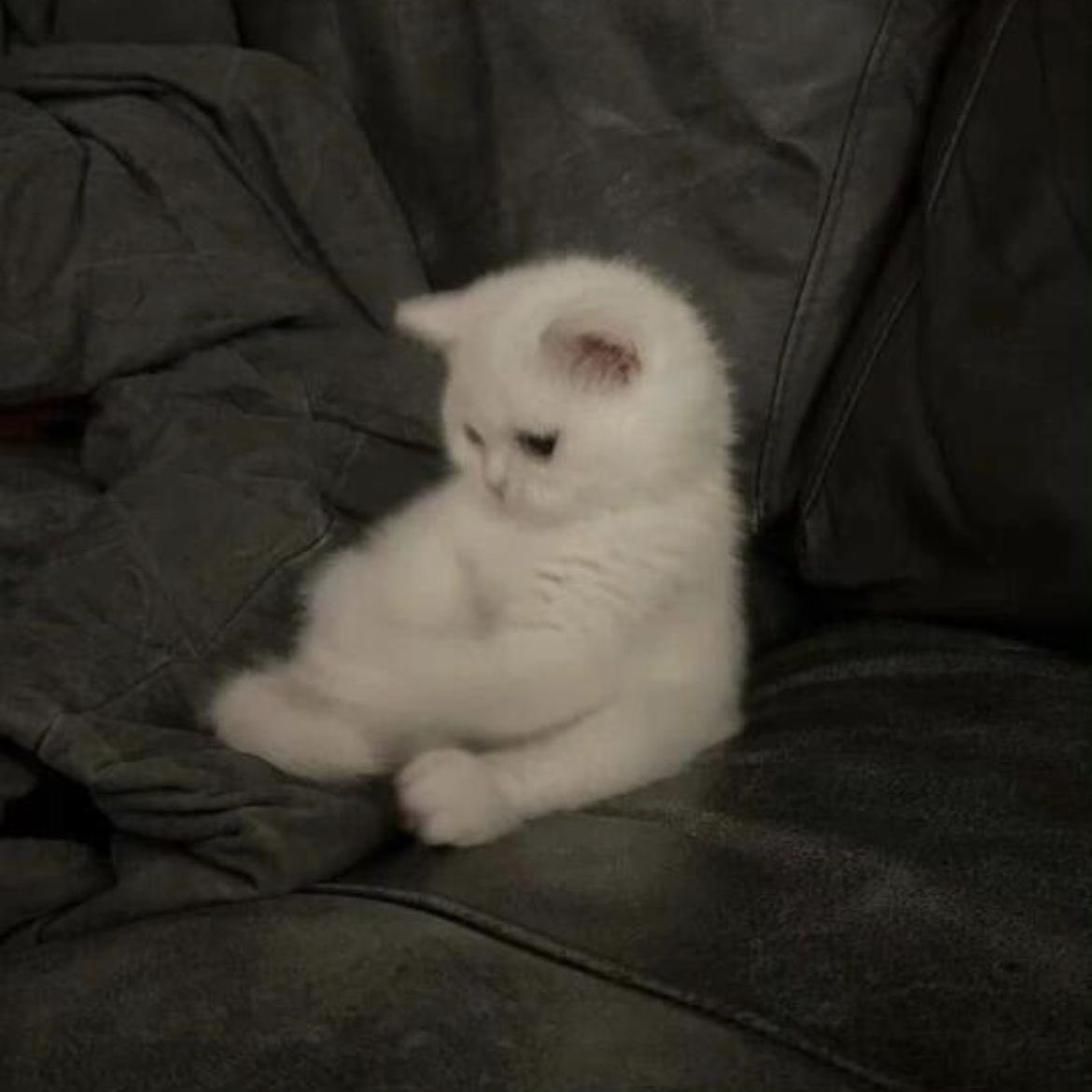 おはなしのくに