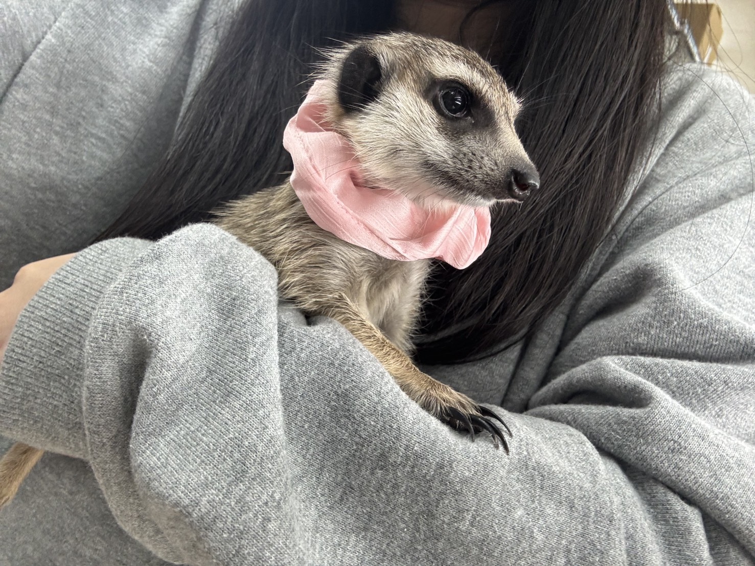 こんばんは🌛初〇