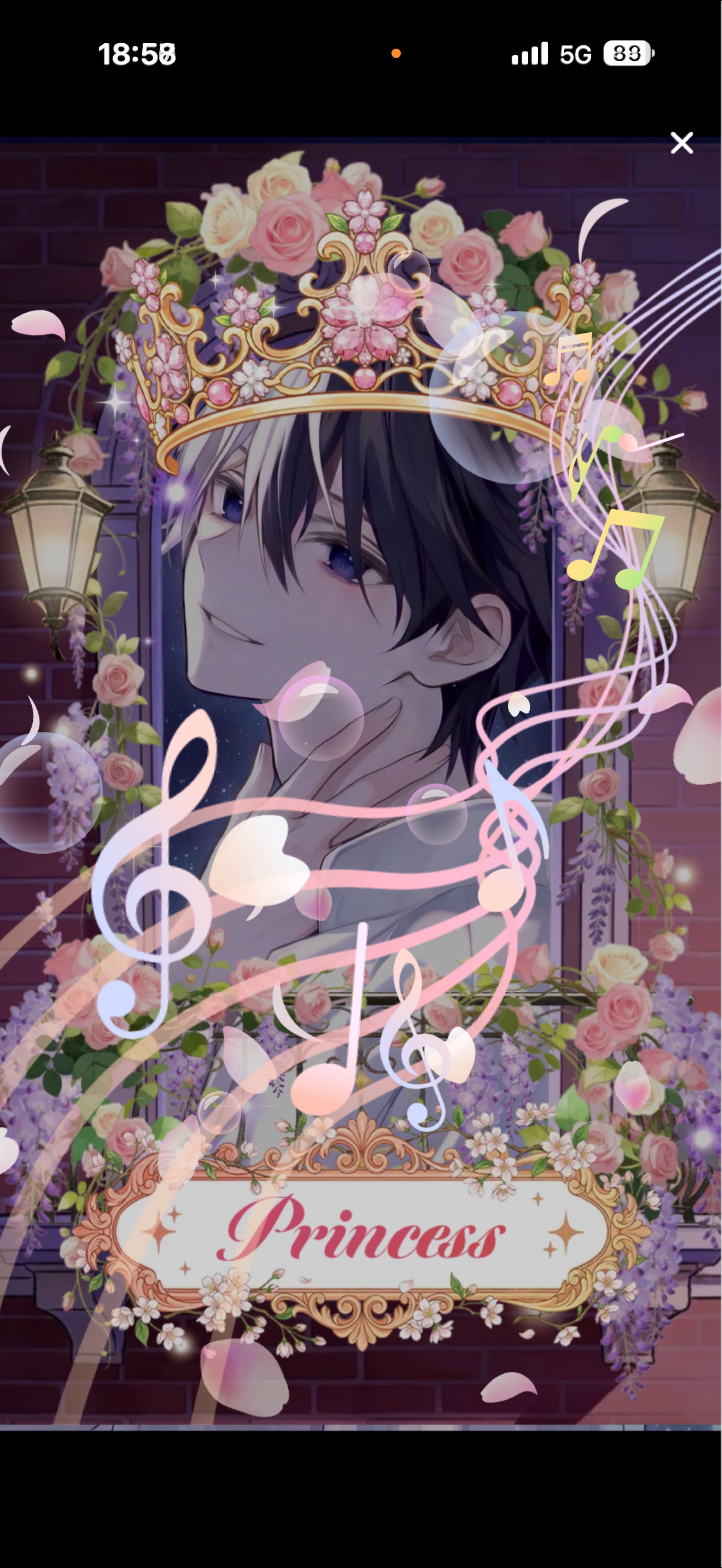 夕方枠！おいでおいで！