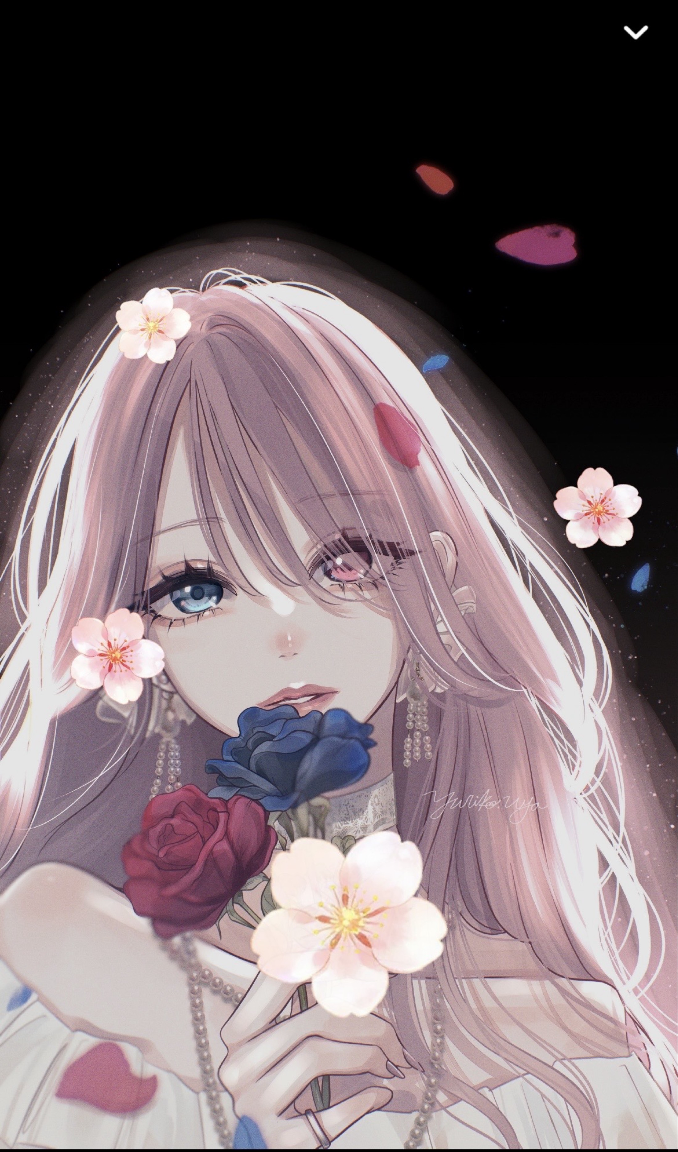 夜のひととき🌃