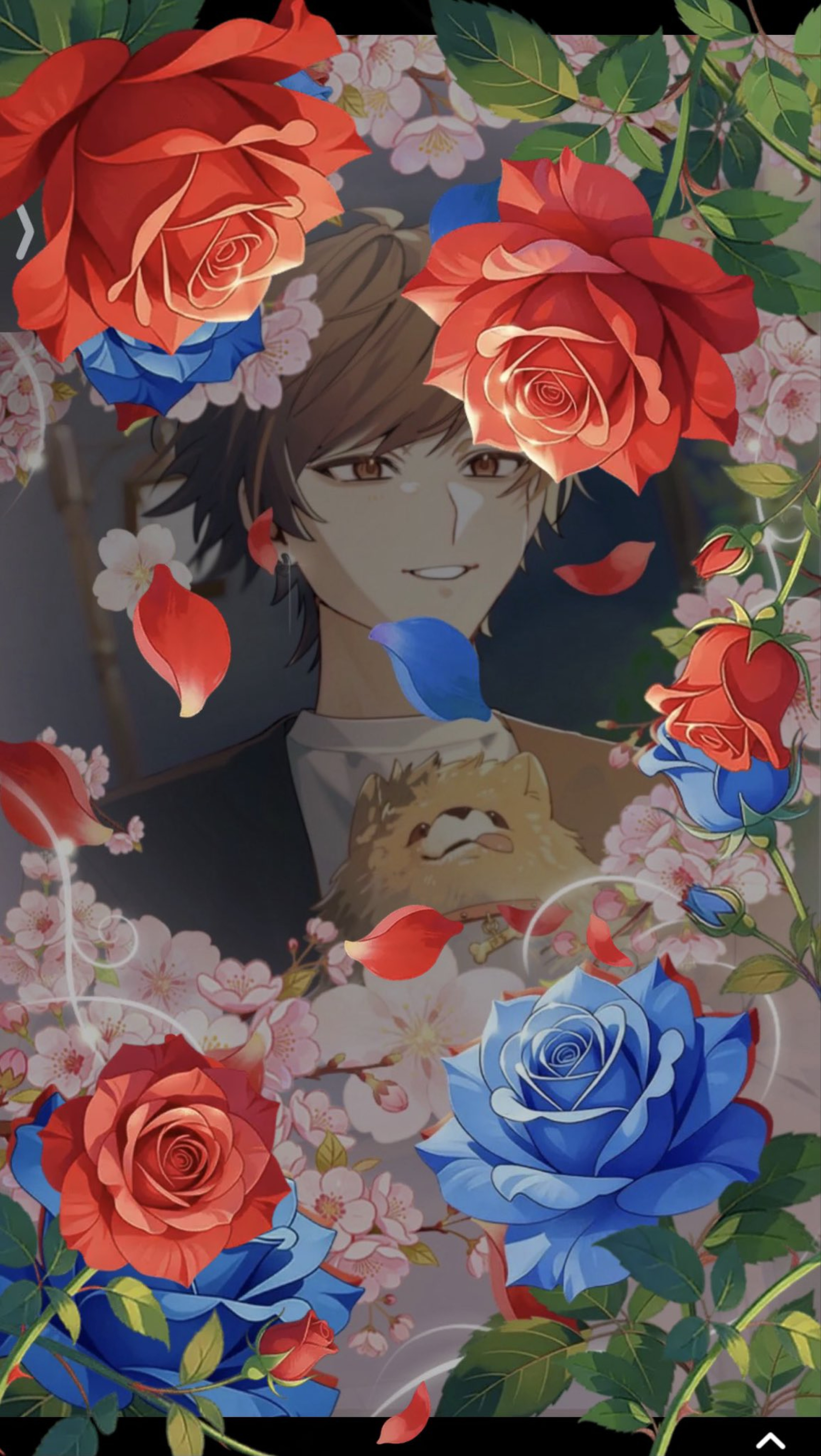 【初◎雑談/笑い癒され】