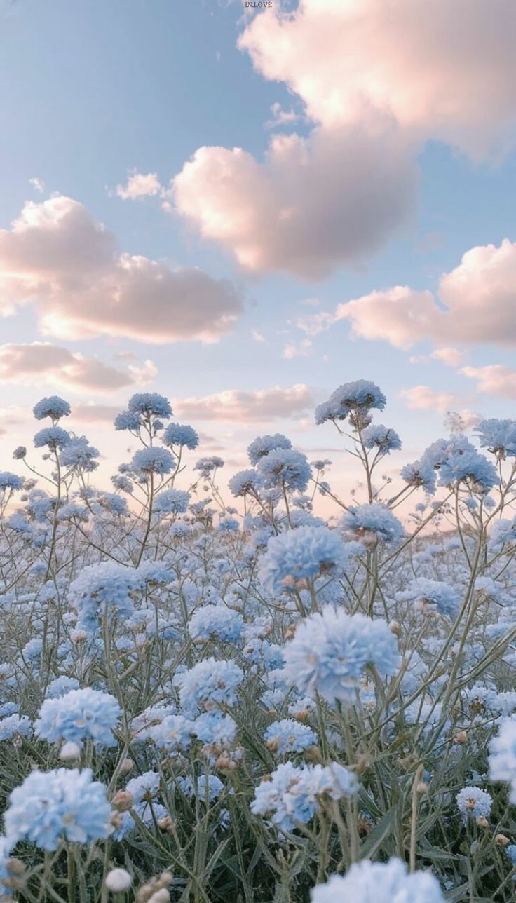 雑談しながら寝起きの勉強