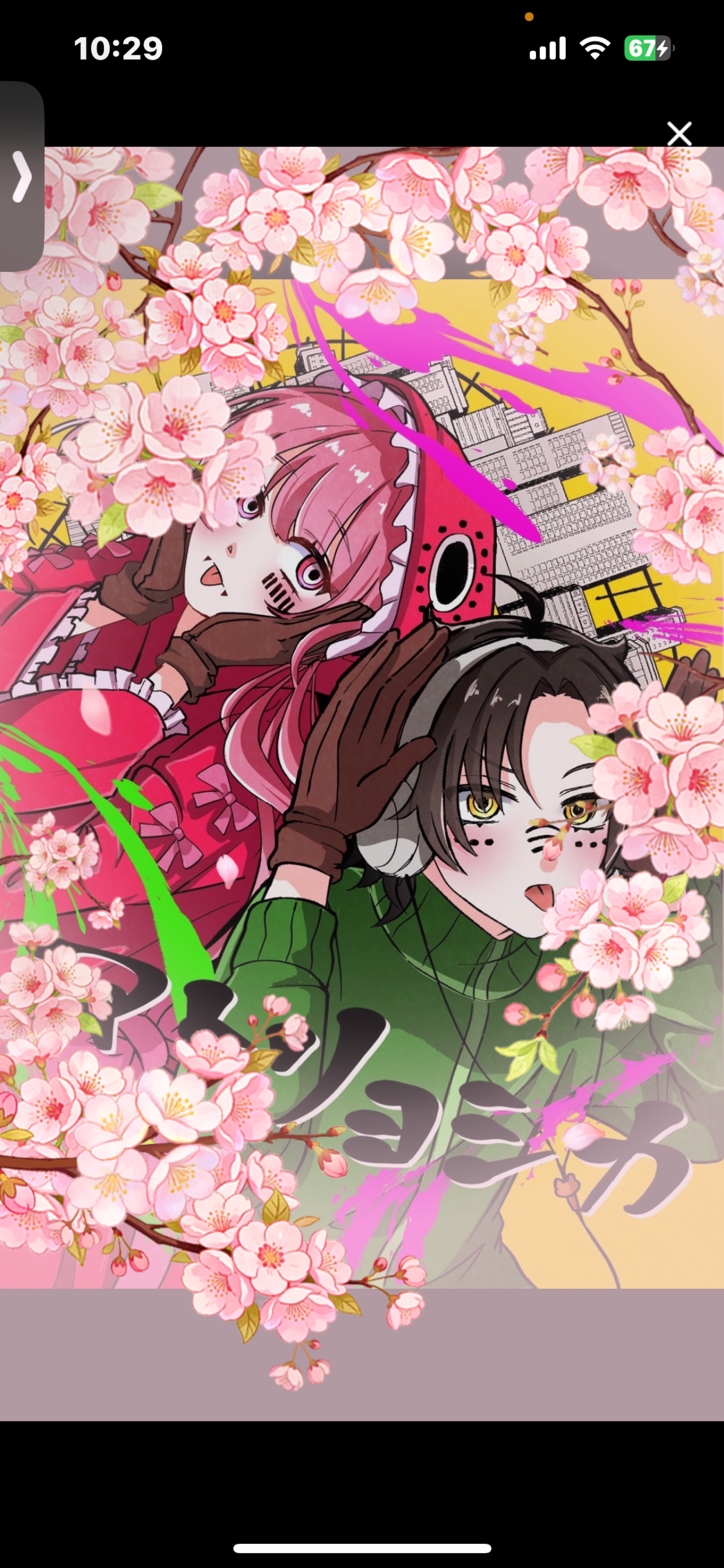 うほほーい⤴︎︎︎