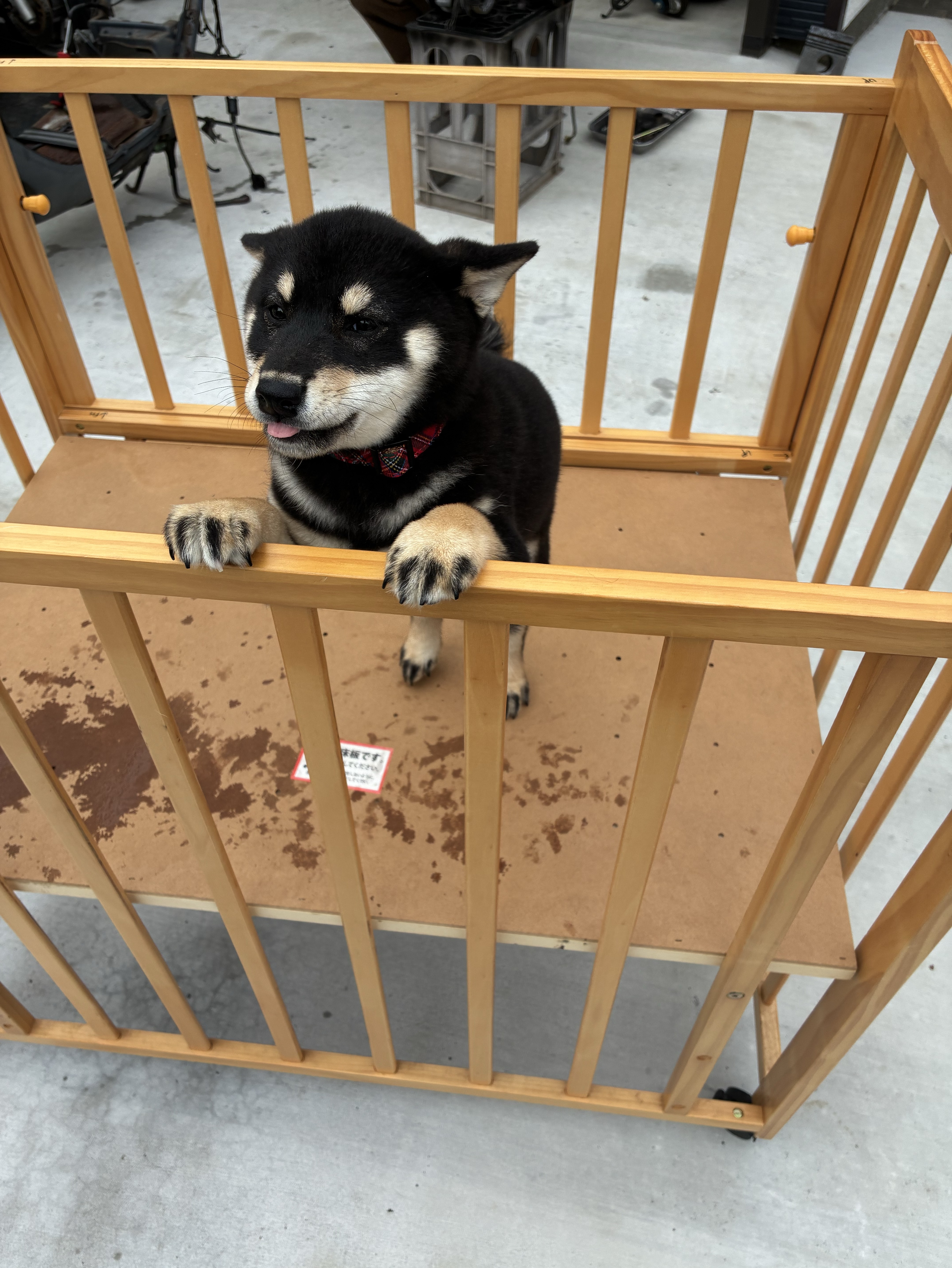 初見○ゆっくり話しましょ