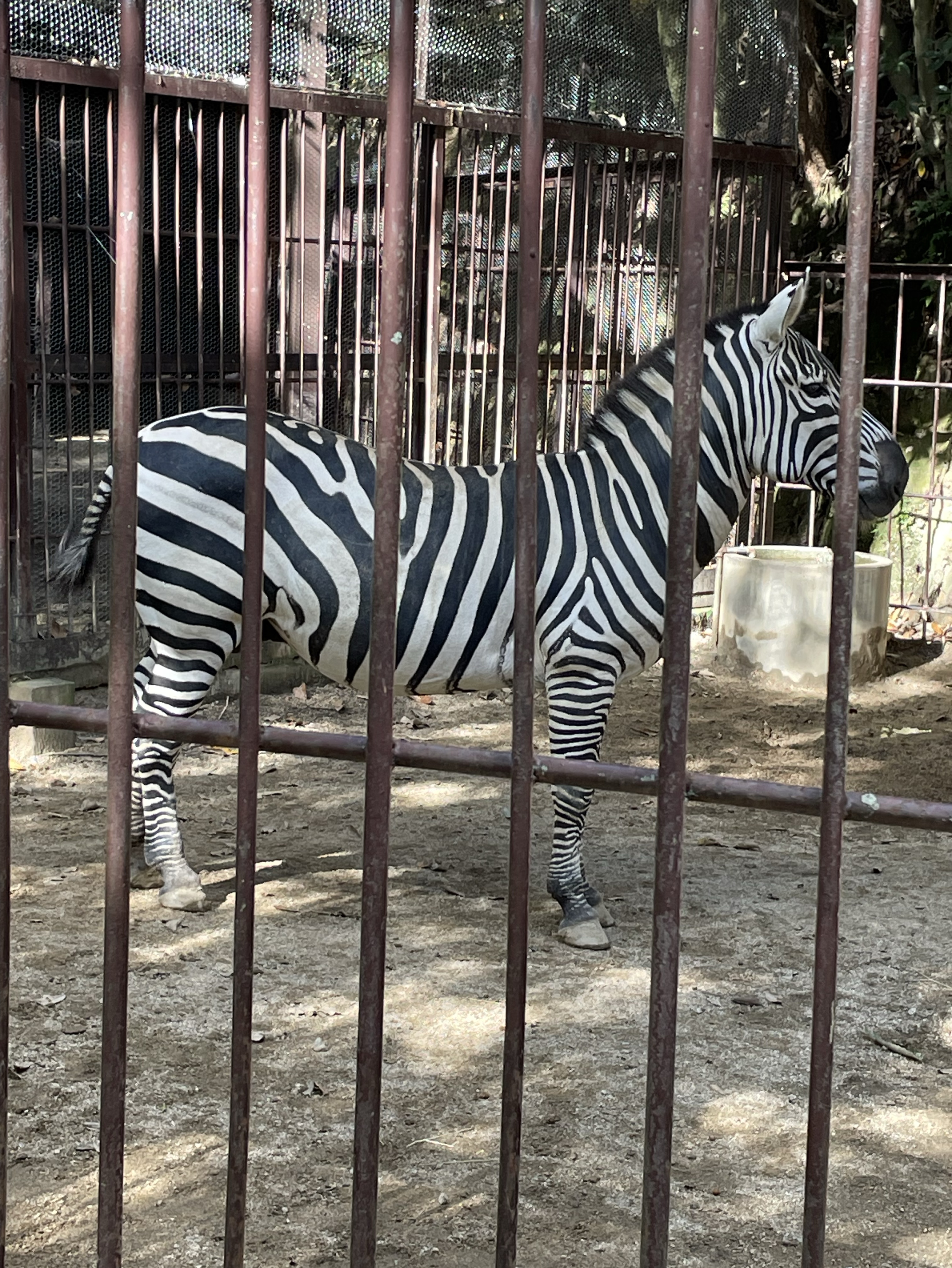 広島アラサー初寝潜🙆‍♀️