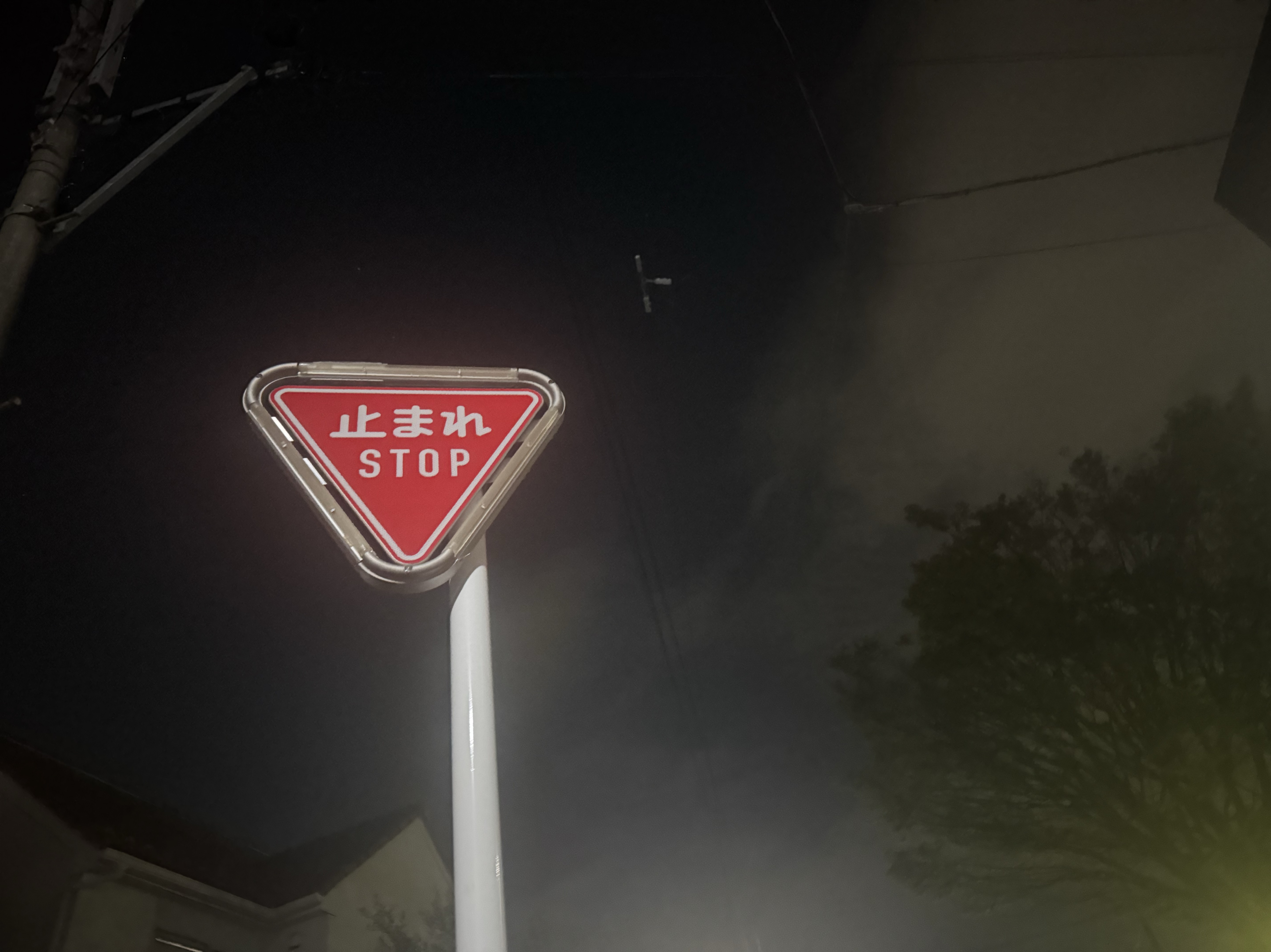 月曜日のおはよう🧺‪かなり遅め