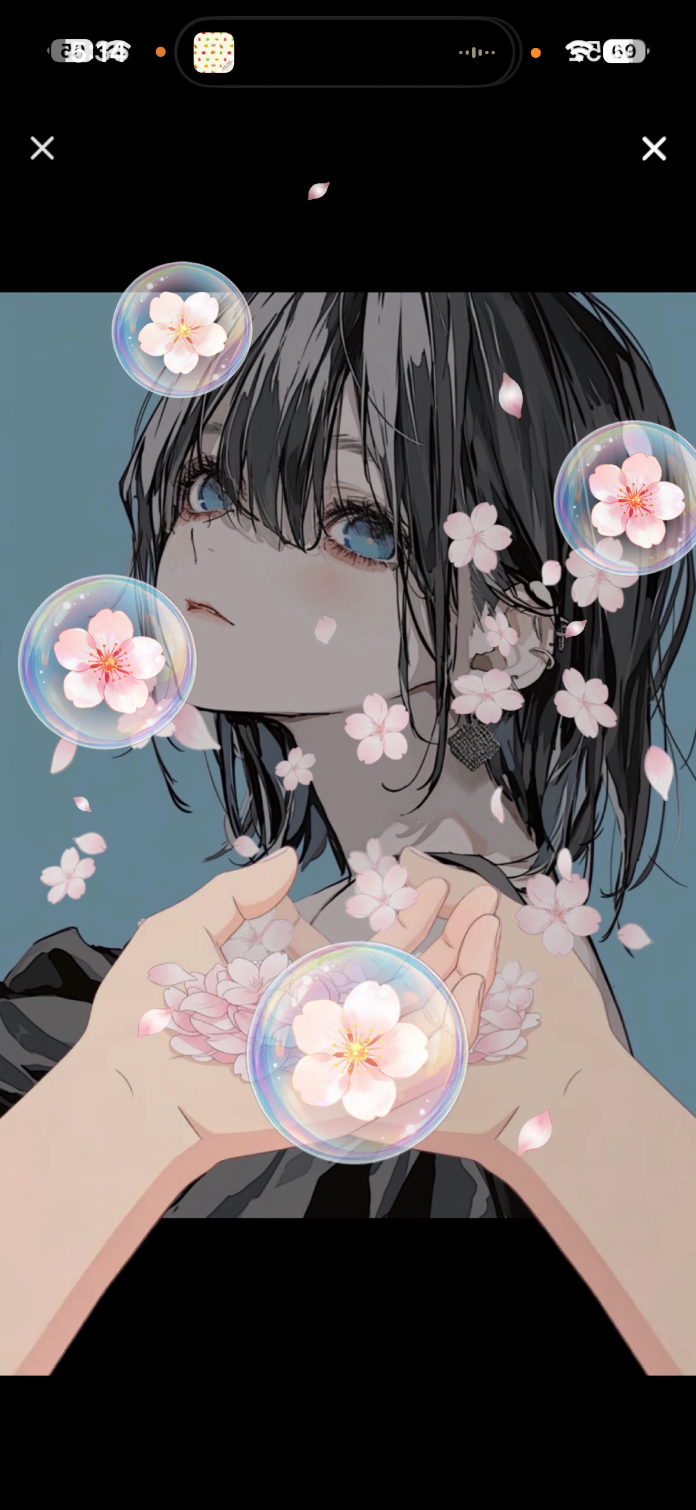 朝方のひと笑い ’𖥦' ￤初潜◎