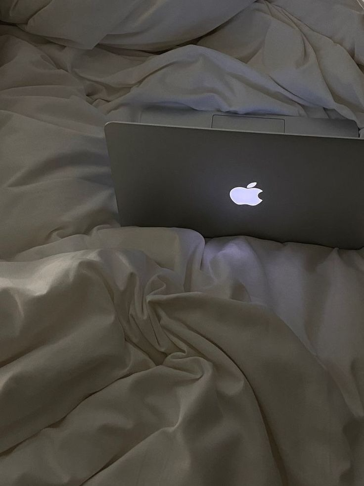 ほぼBGM（初見さん〇）