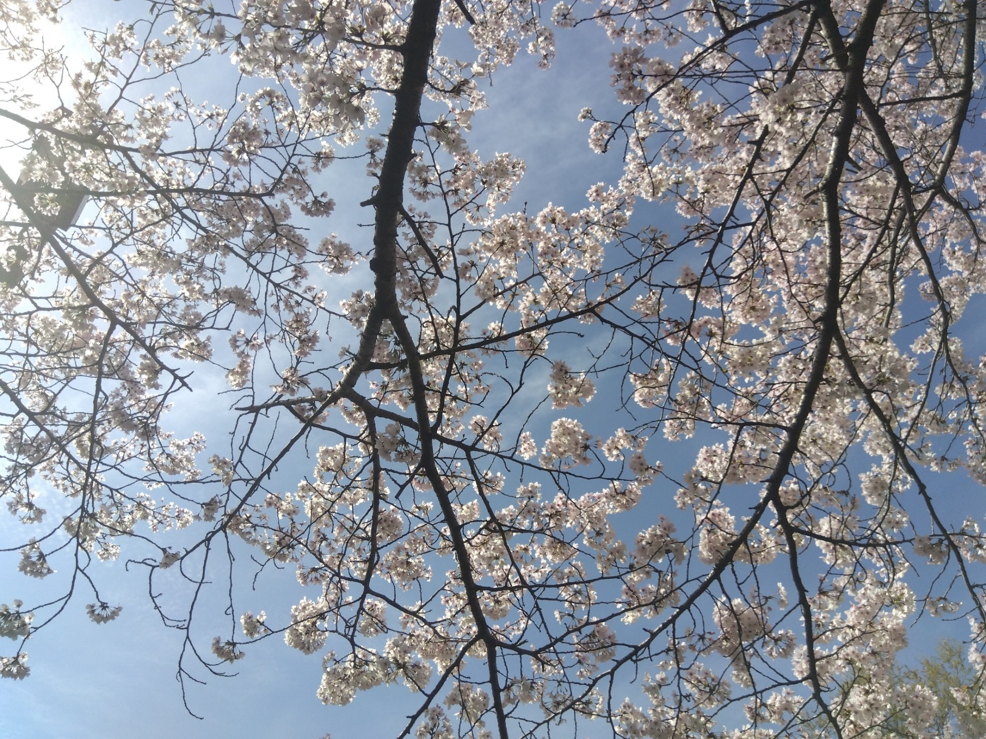 初見◎雑談兼寝落ち枠