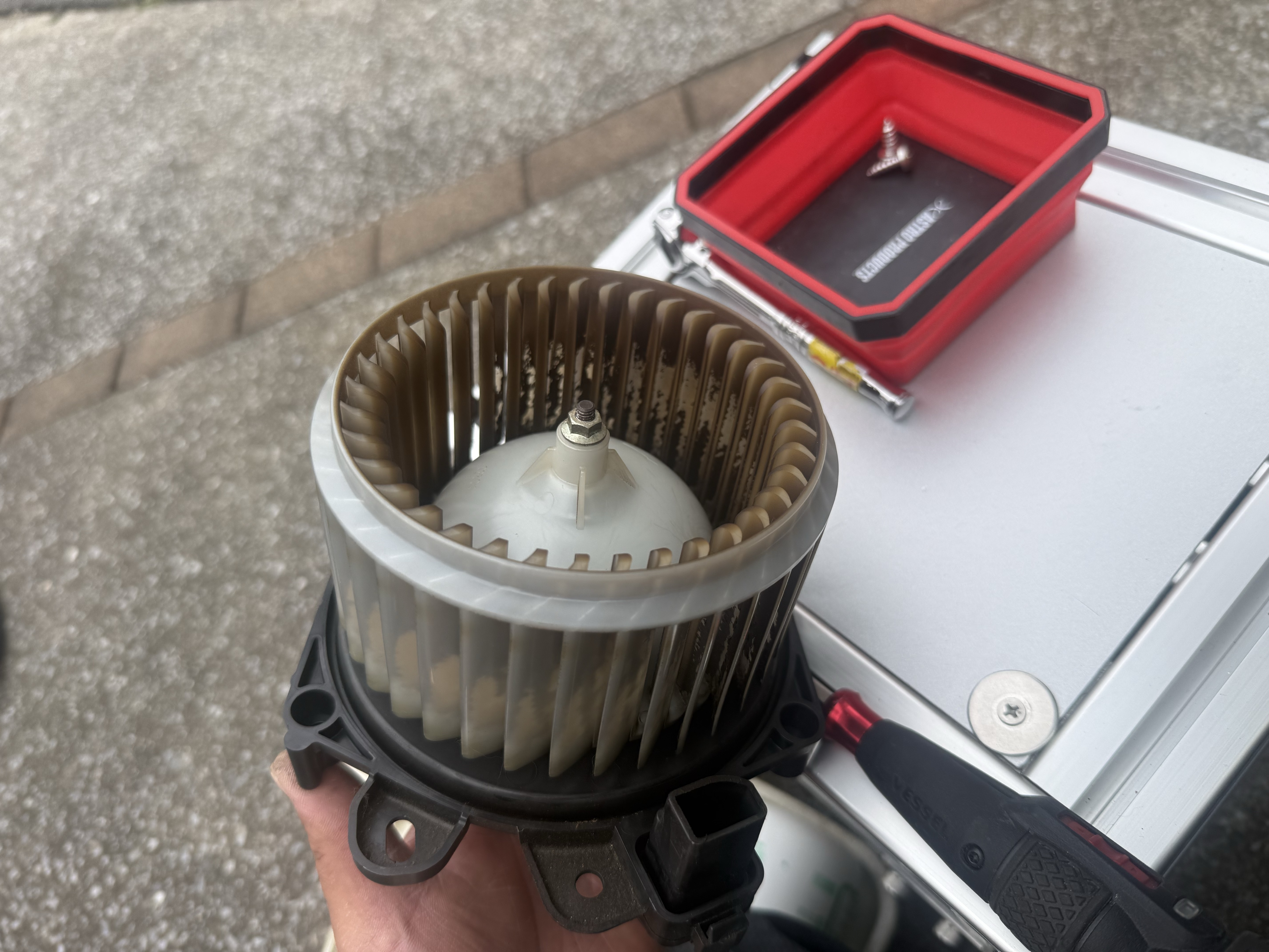 ぬぬ！初見さんFUNさんお話しよ！