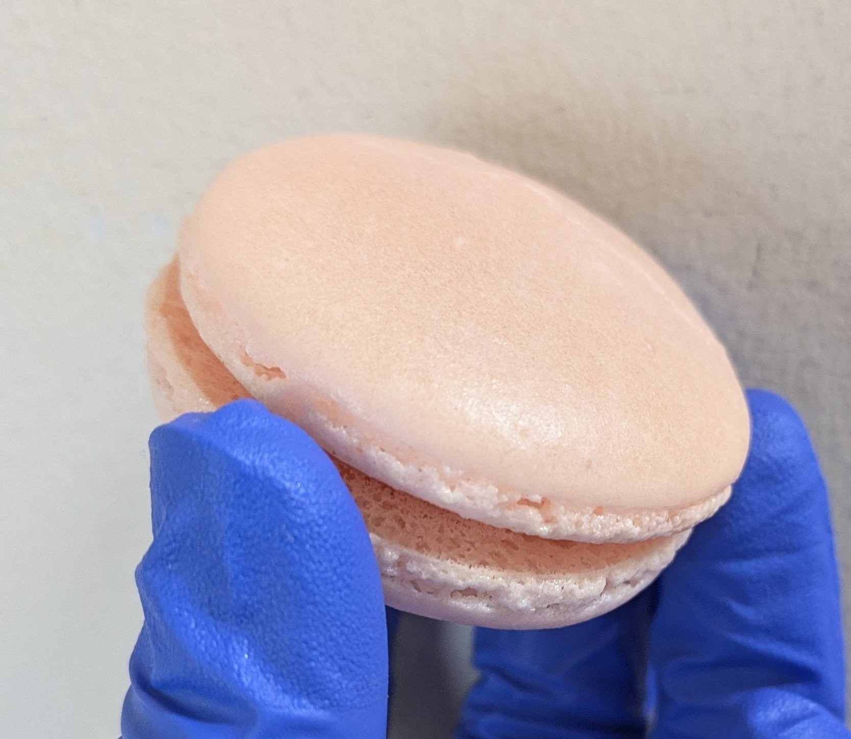 2h まっちょるよ❣️