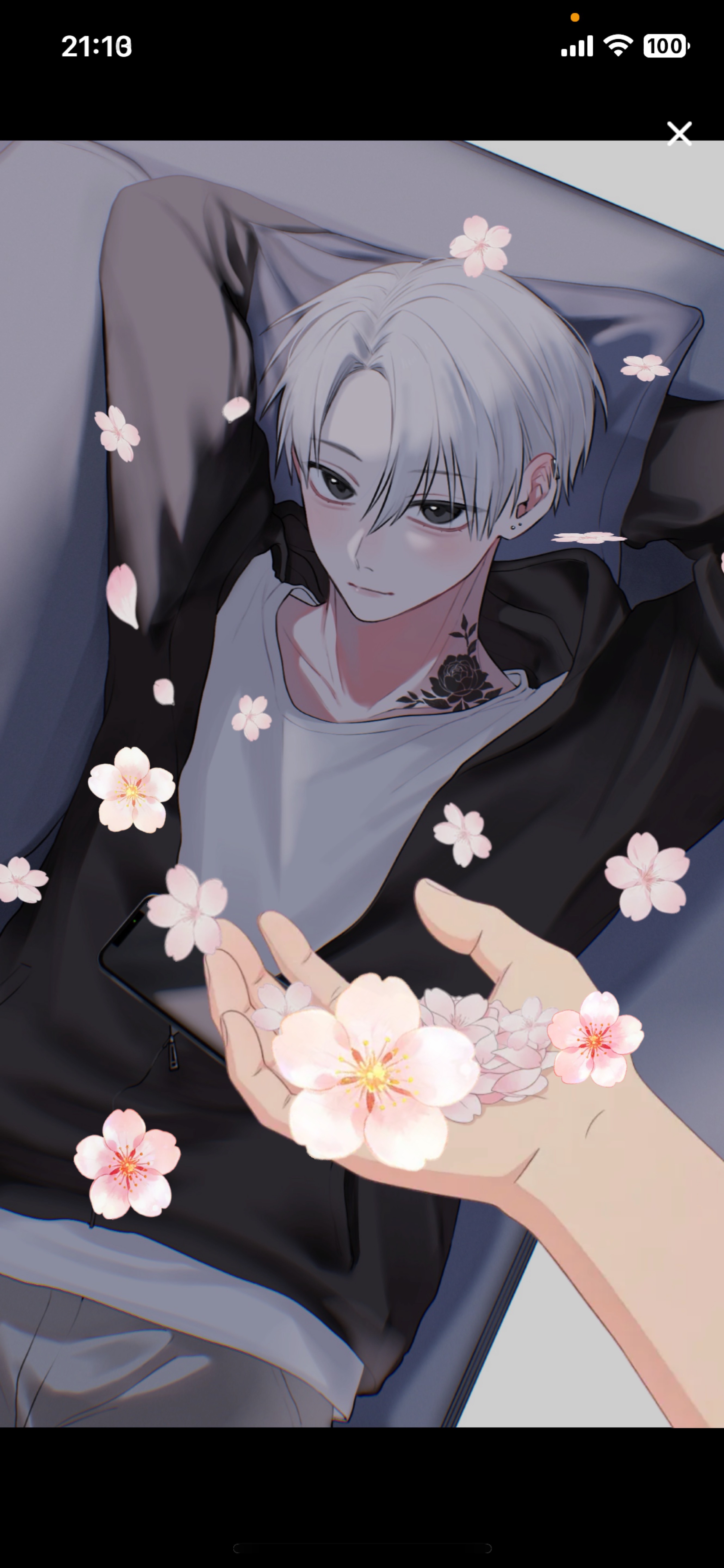 あれ❔なんか違う❔