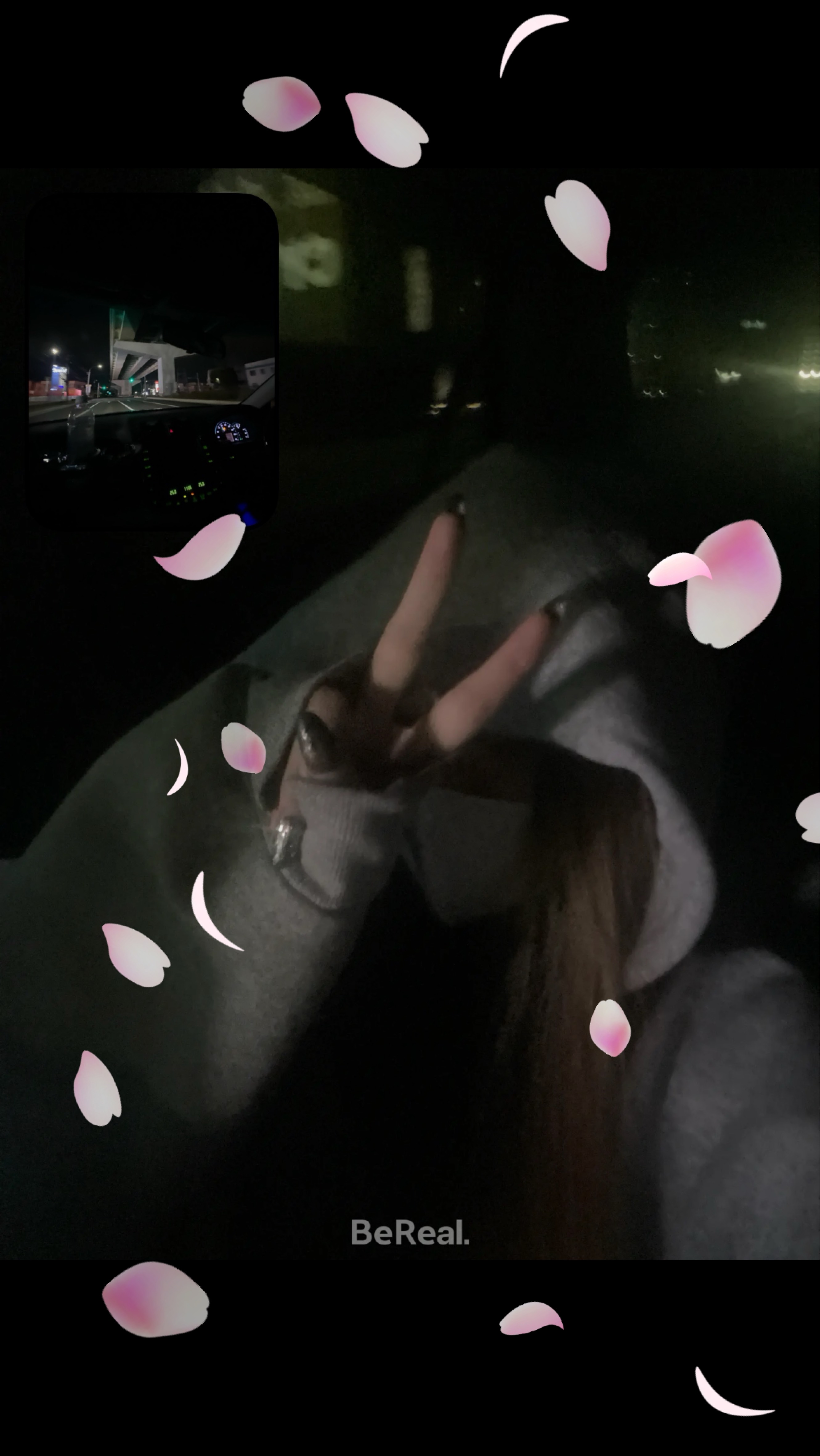 かまってかまってかまって