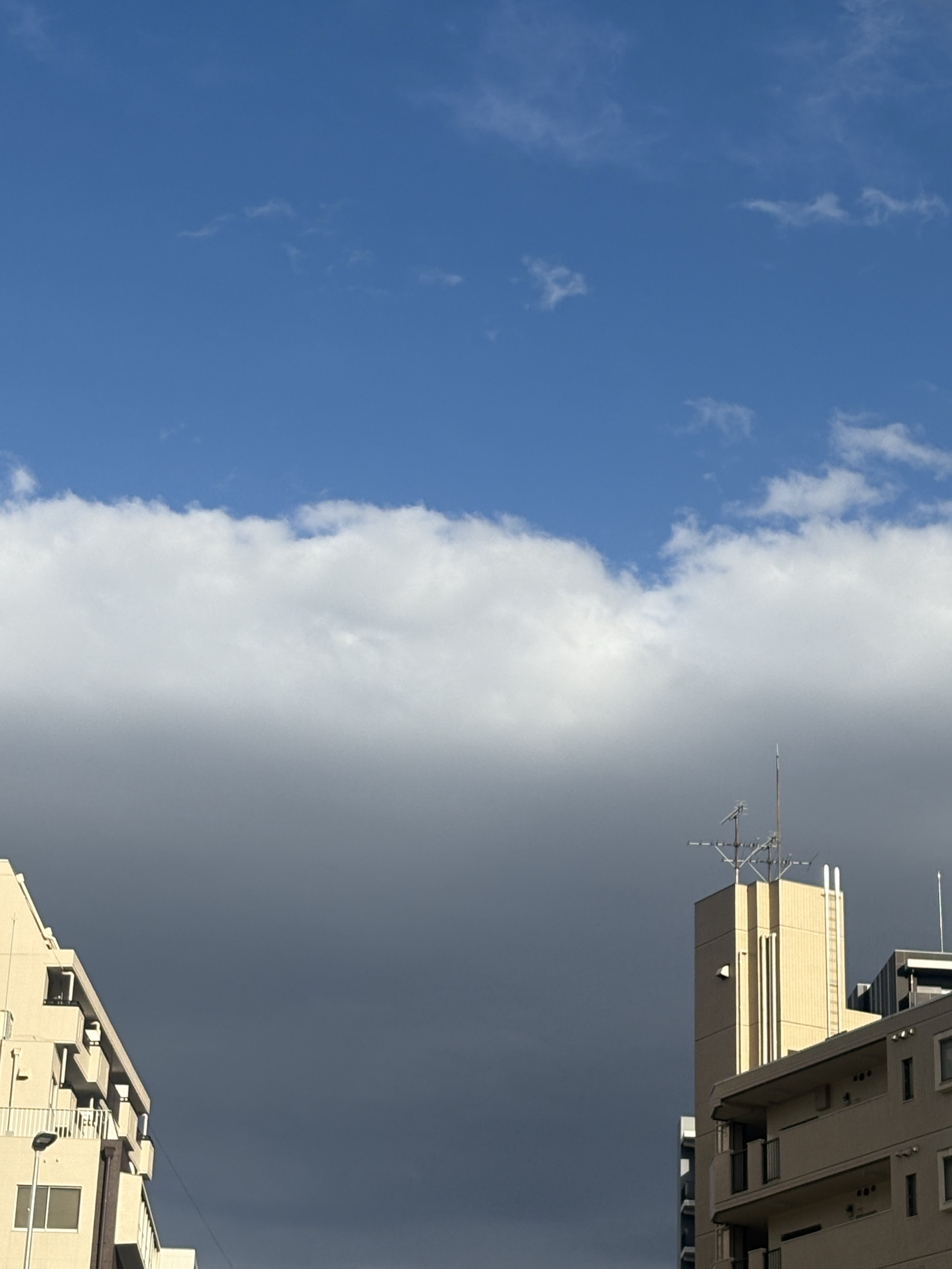 はつ☆もぐ 誰かいるのか