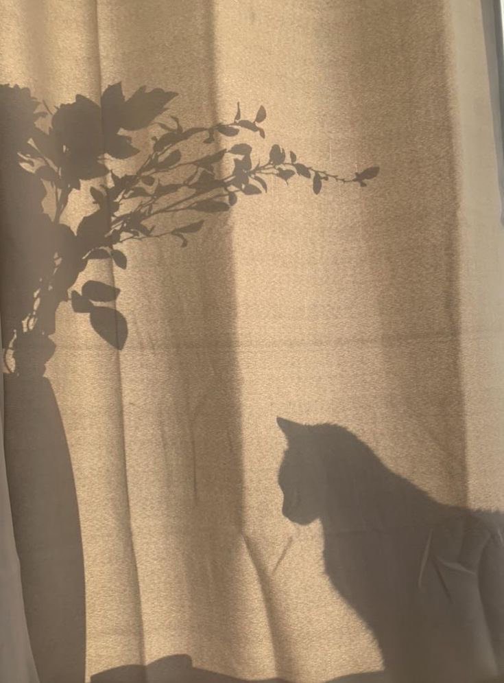 ピアノ練習 ときどきギター