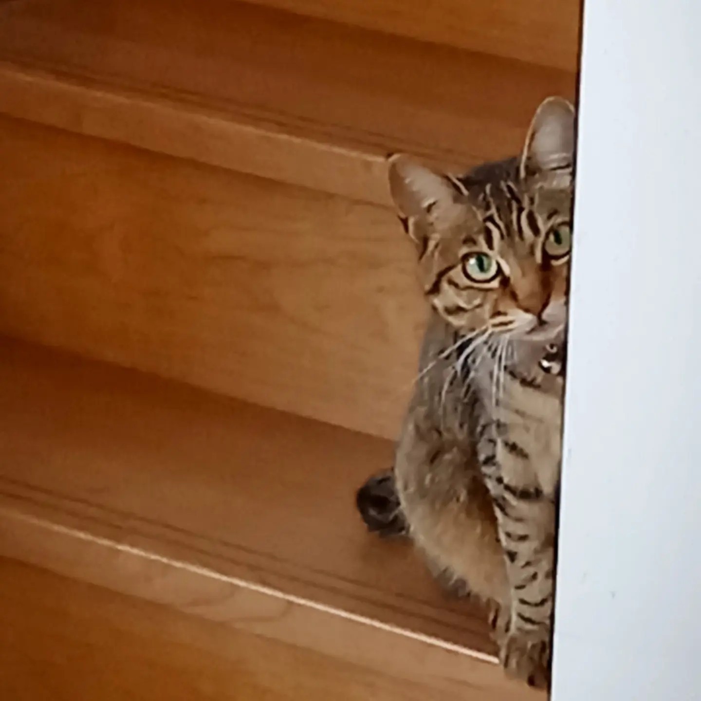 ☕を淹れながら雑談