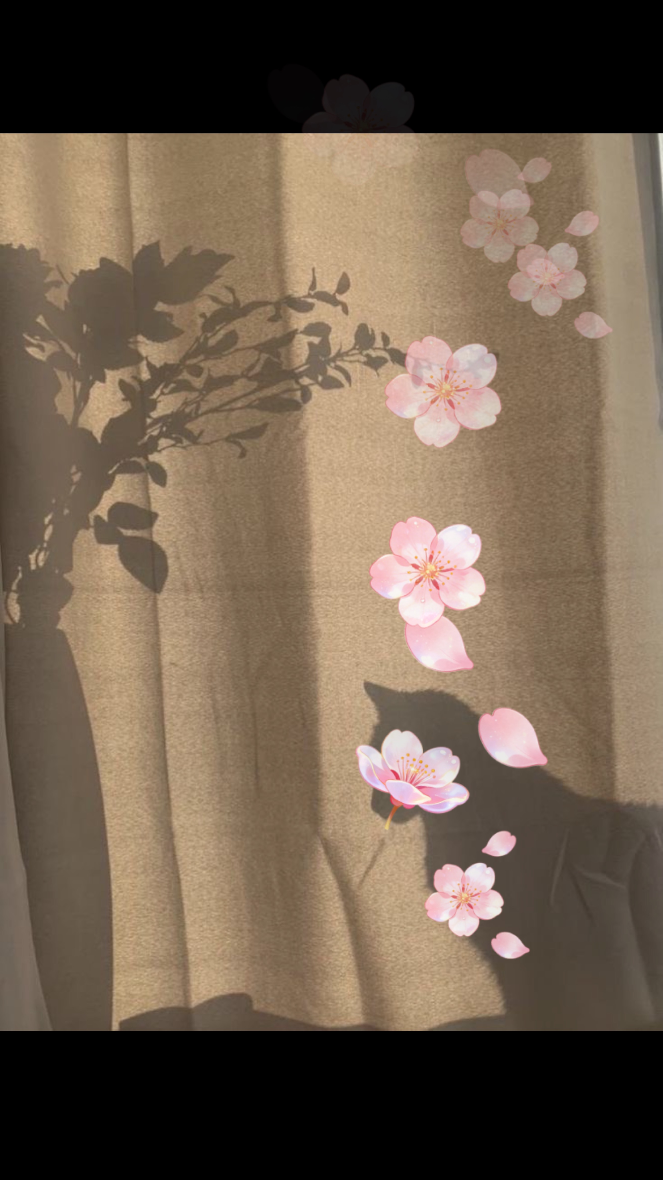 ピアノ練習 ときどきギター