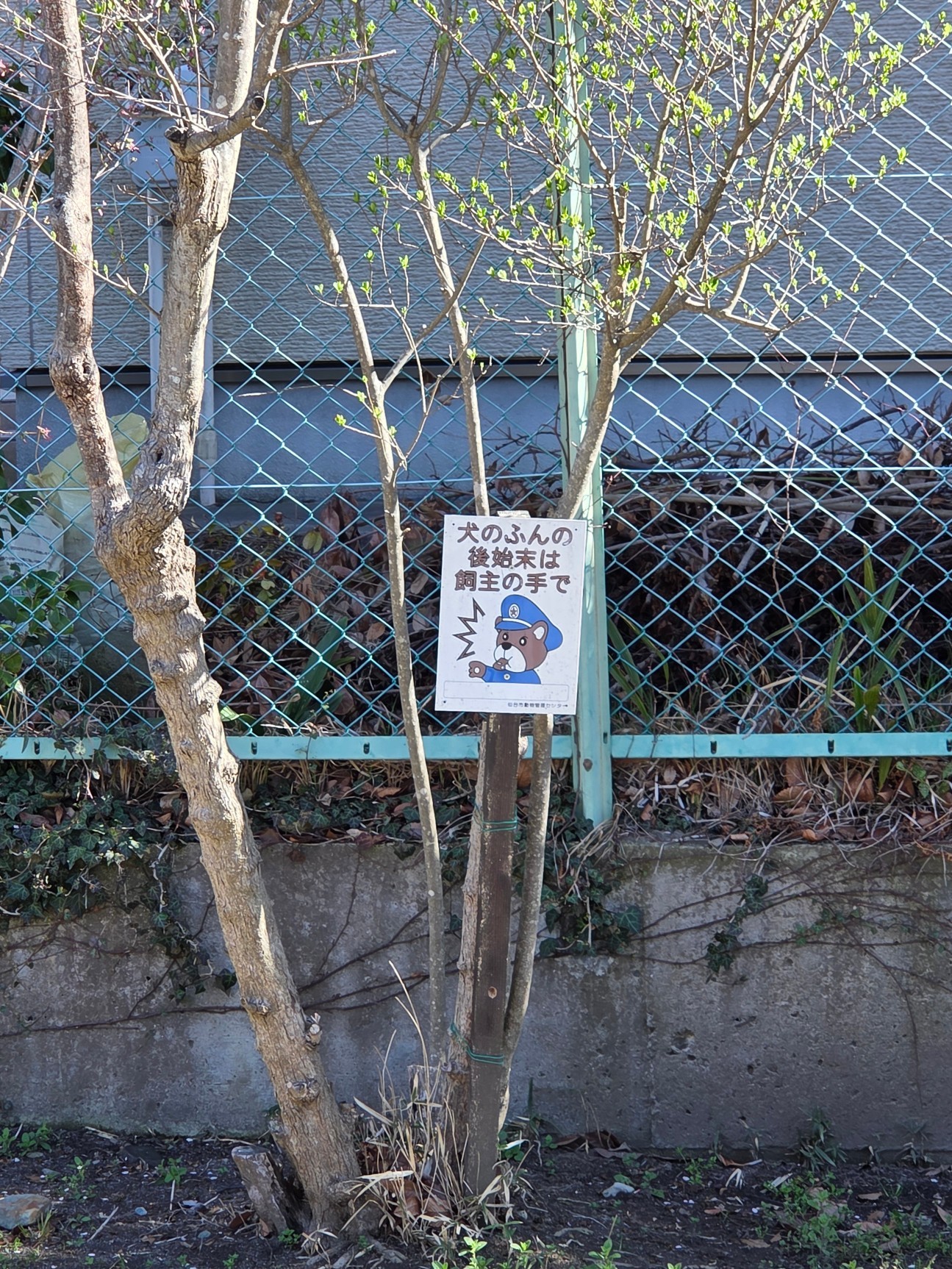 中低音🪼　40分まで