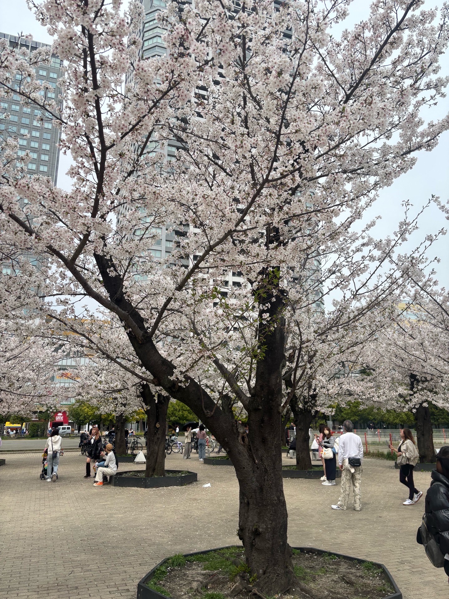 たまにはオープンで飲み枠🍻