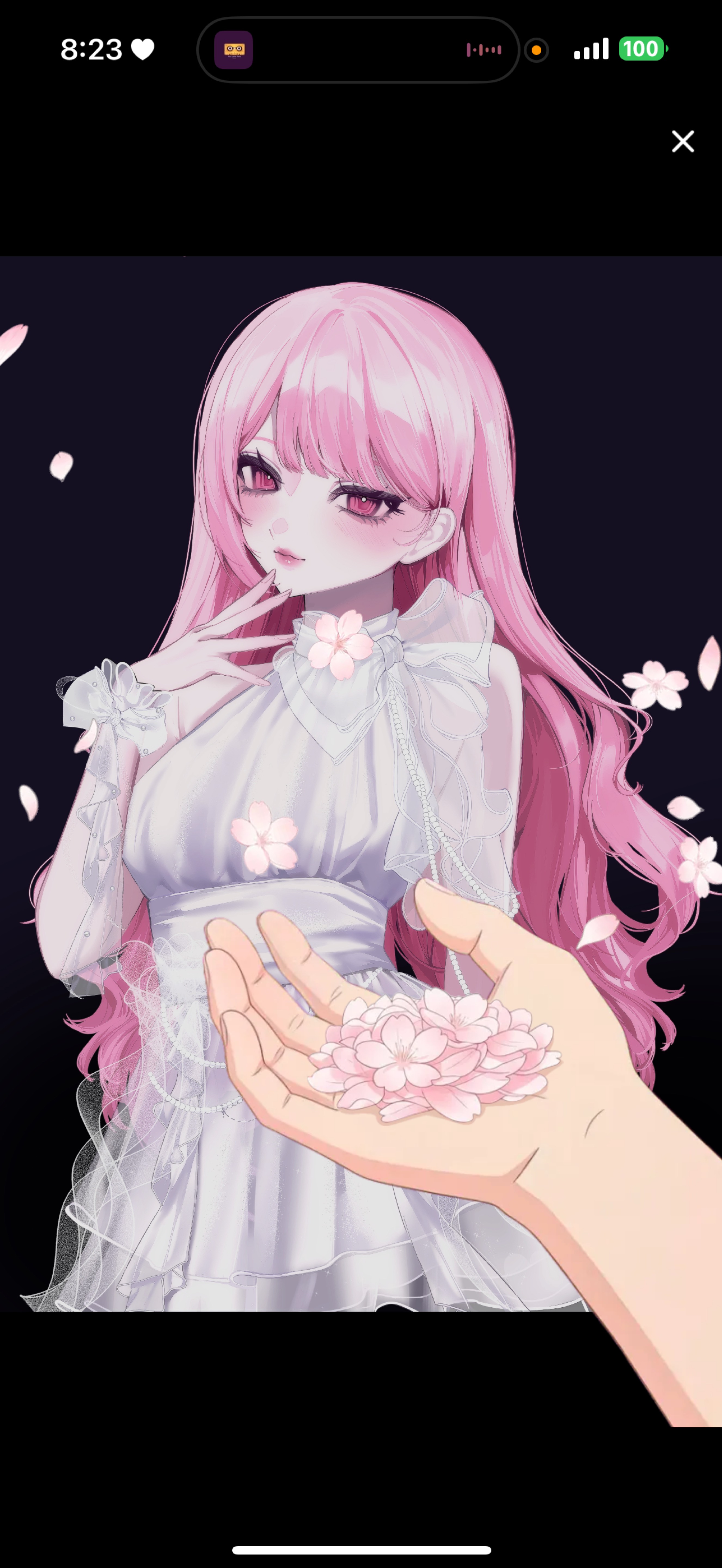 水曜日のおはよう🧺‪🌿🥨