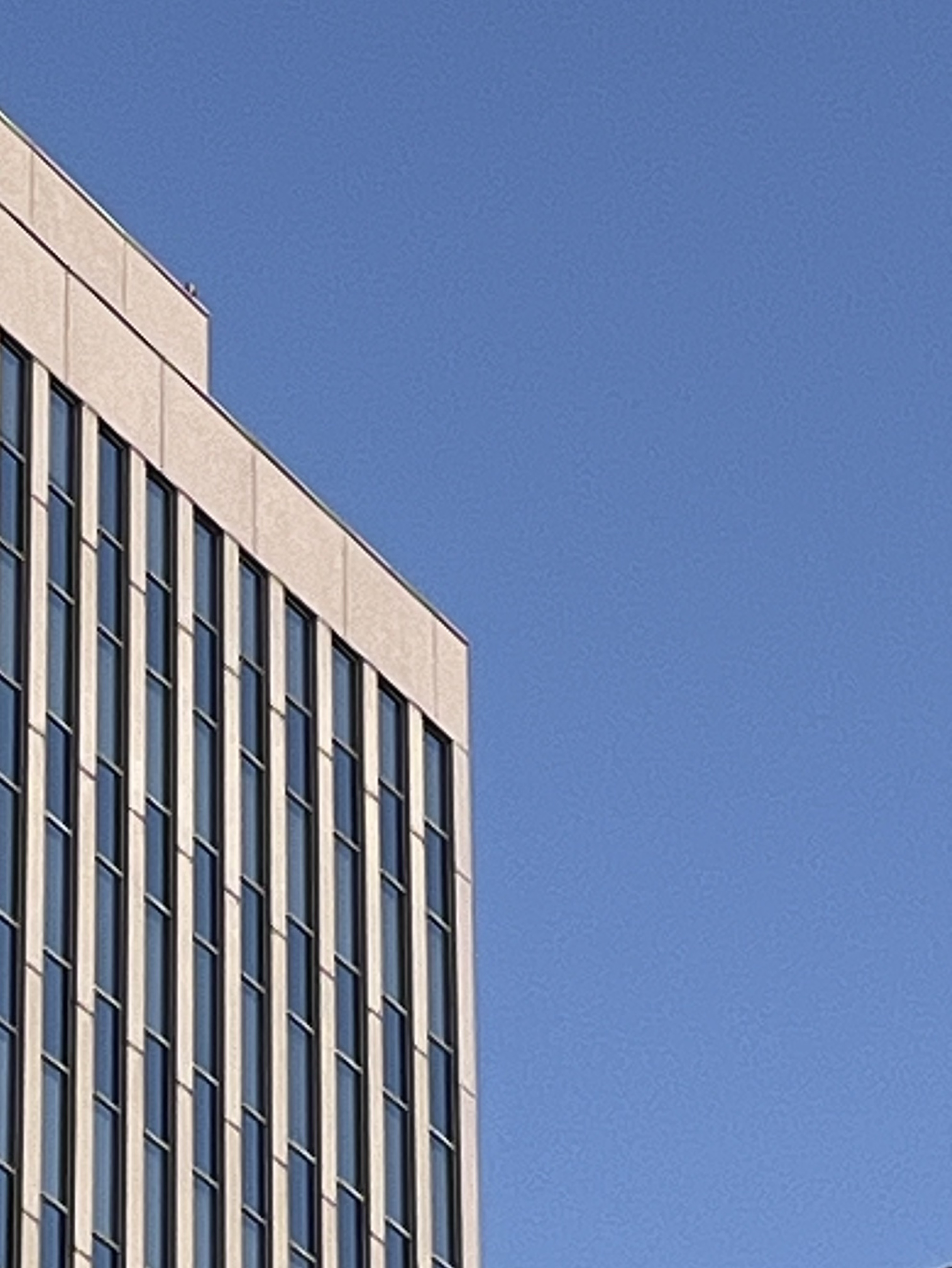 エレキギター弾き語り🫥やさしくありたい