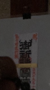 〇ブリがいっぱいじぶり