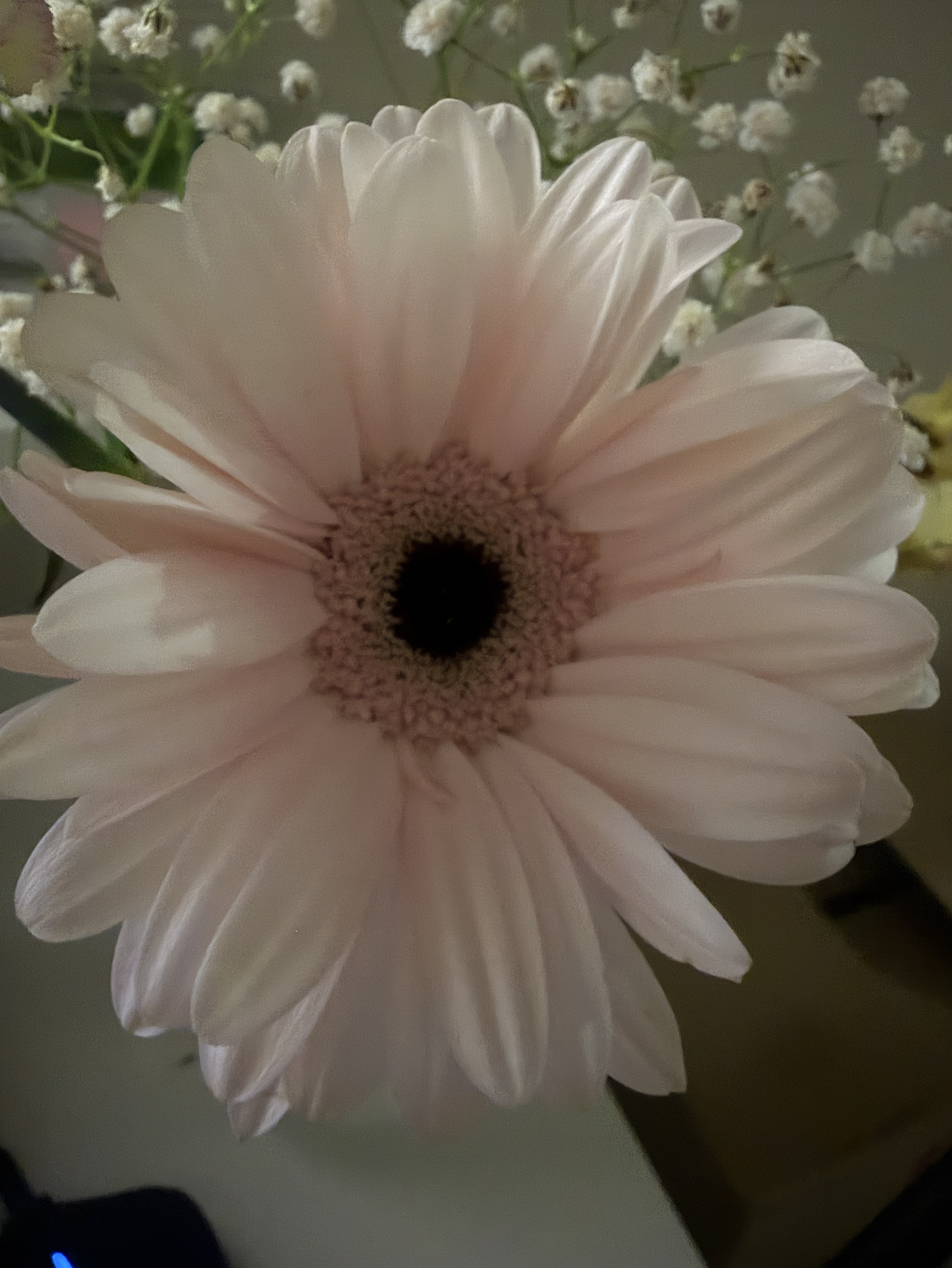 初潜〇おはなし🗣💞