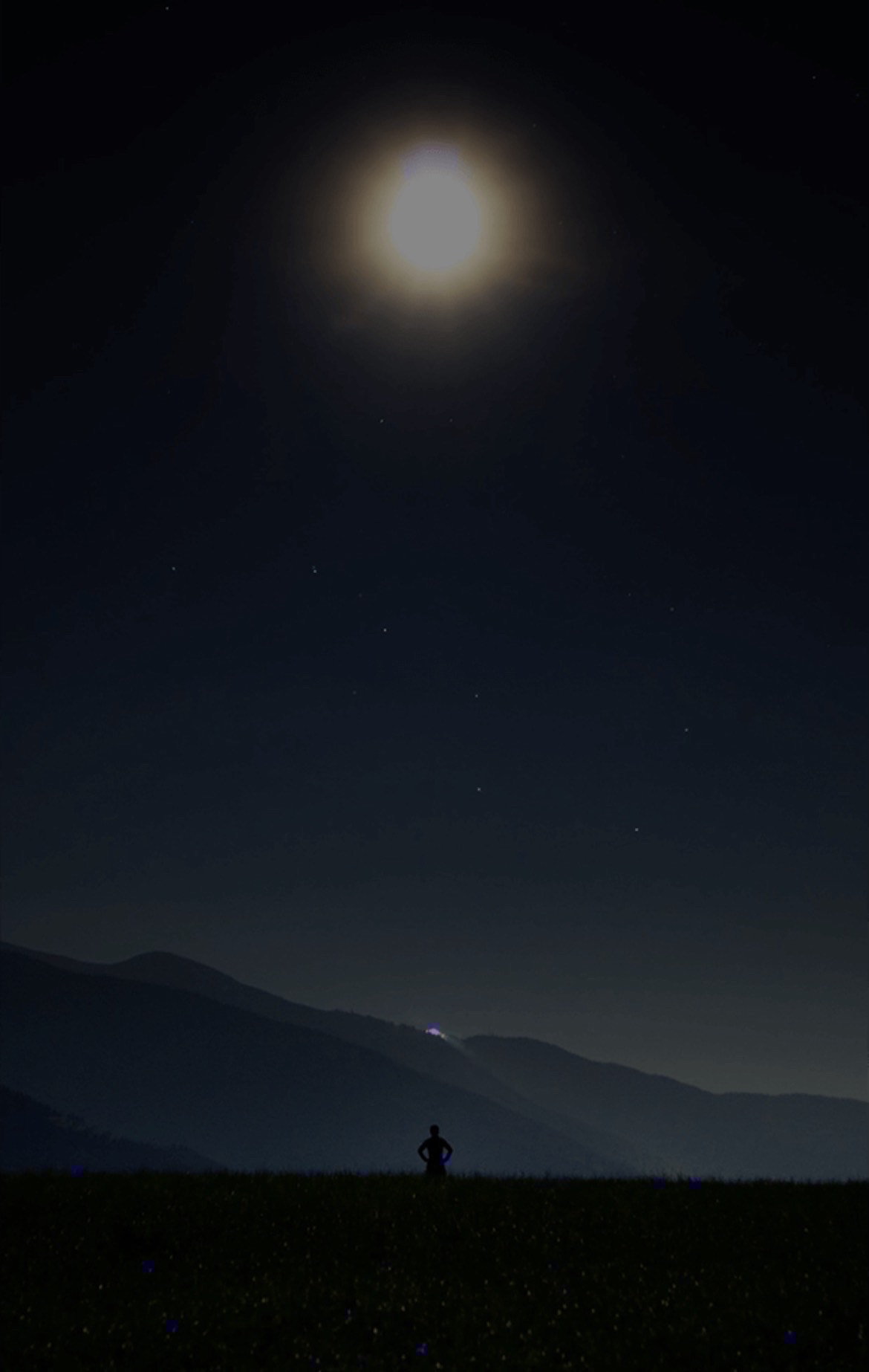 のんびりモンハンライズ😇初見潜＆寝落〇